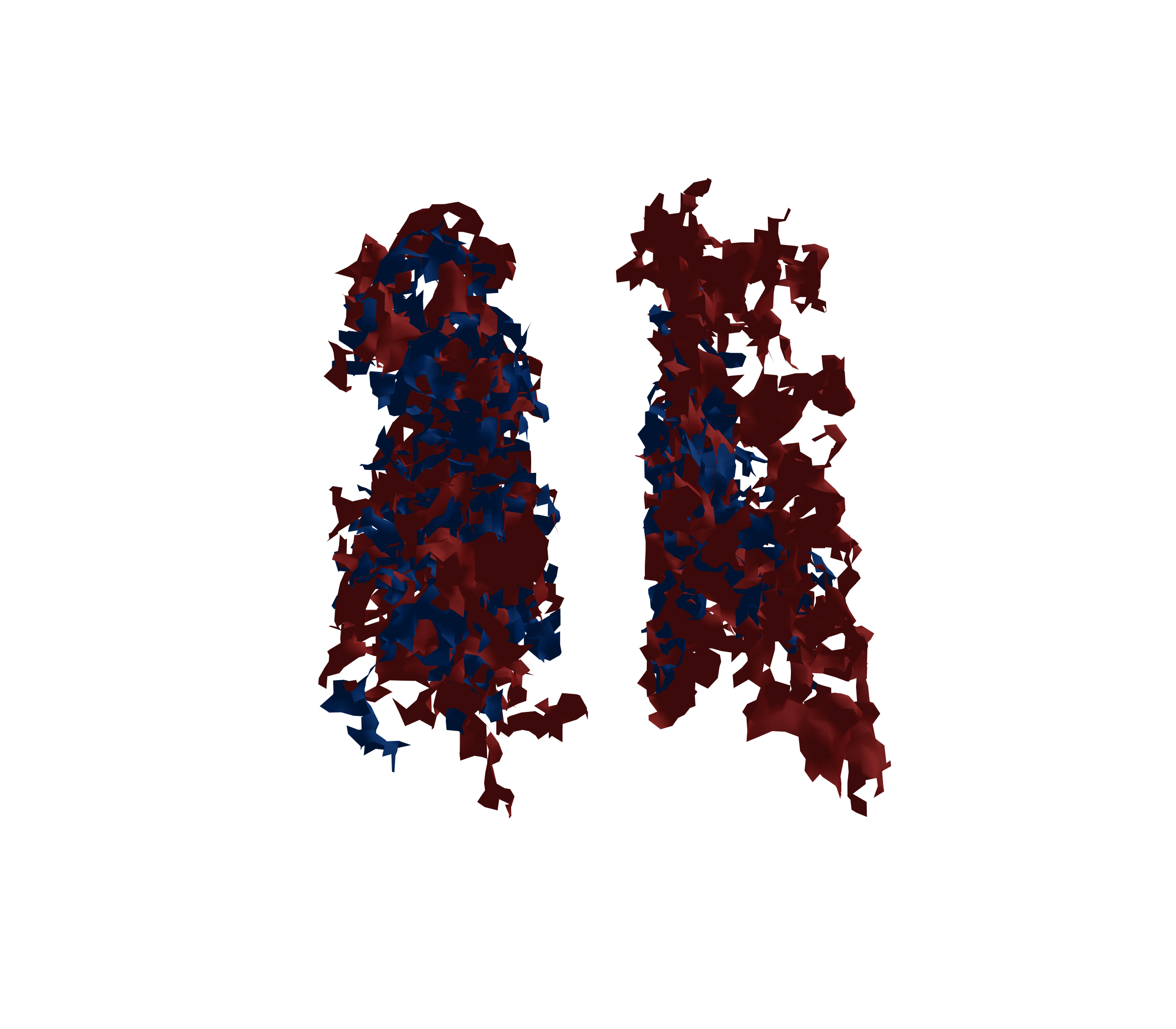 Surface Mesh - Back View