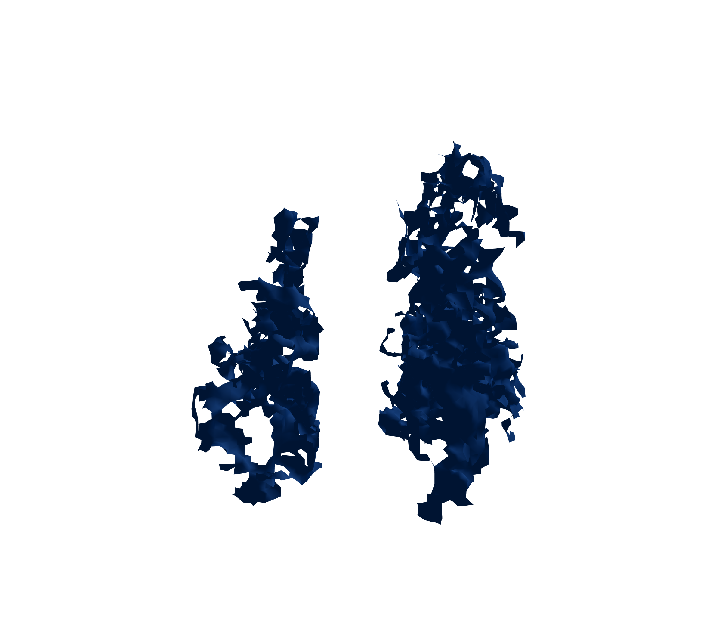 Surface Mesh (Inspiration) - Front View