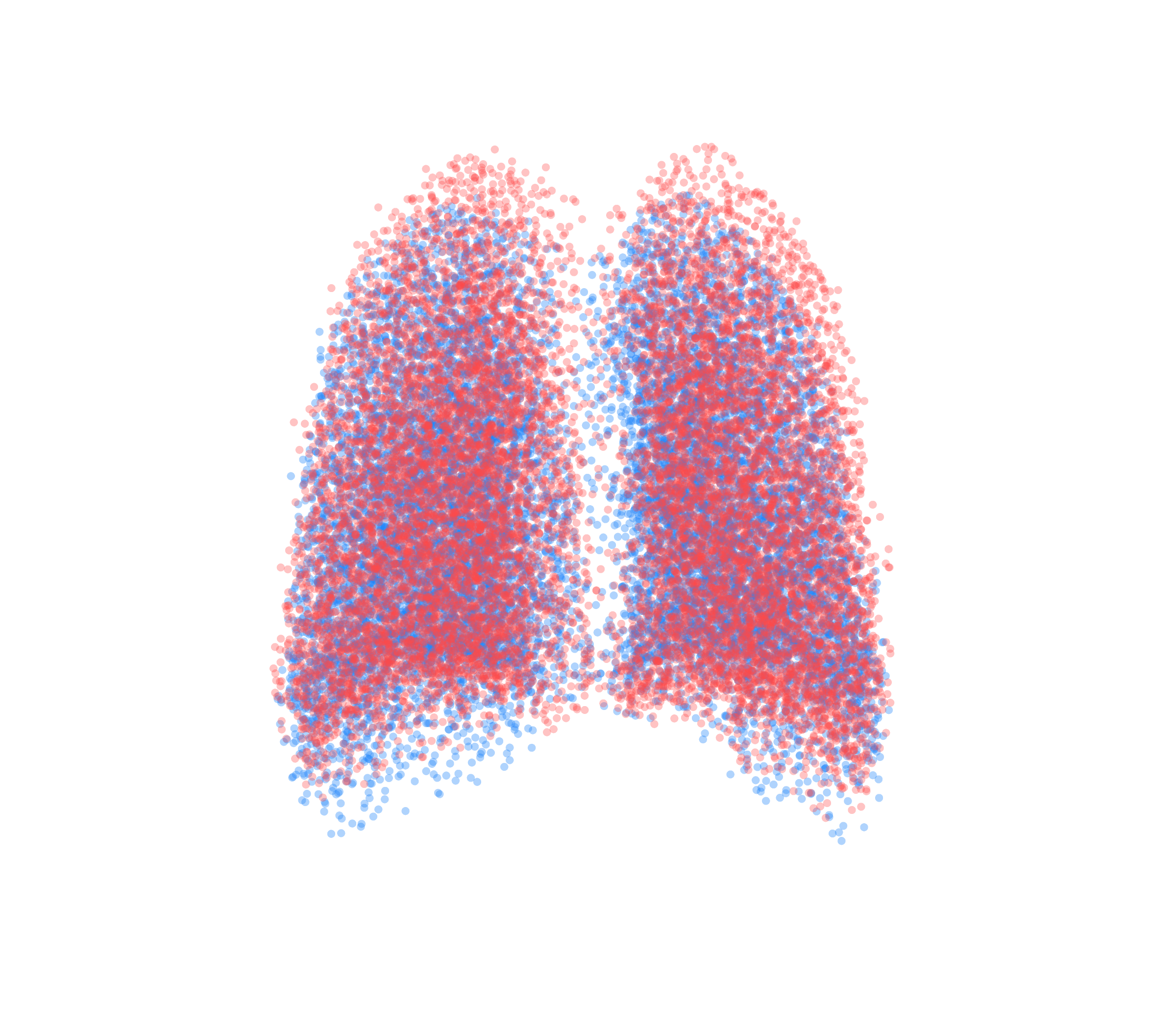 Point Cloud - Back View