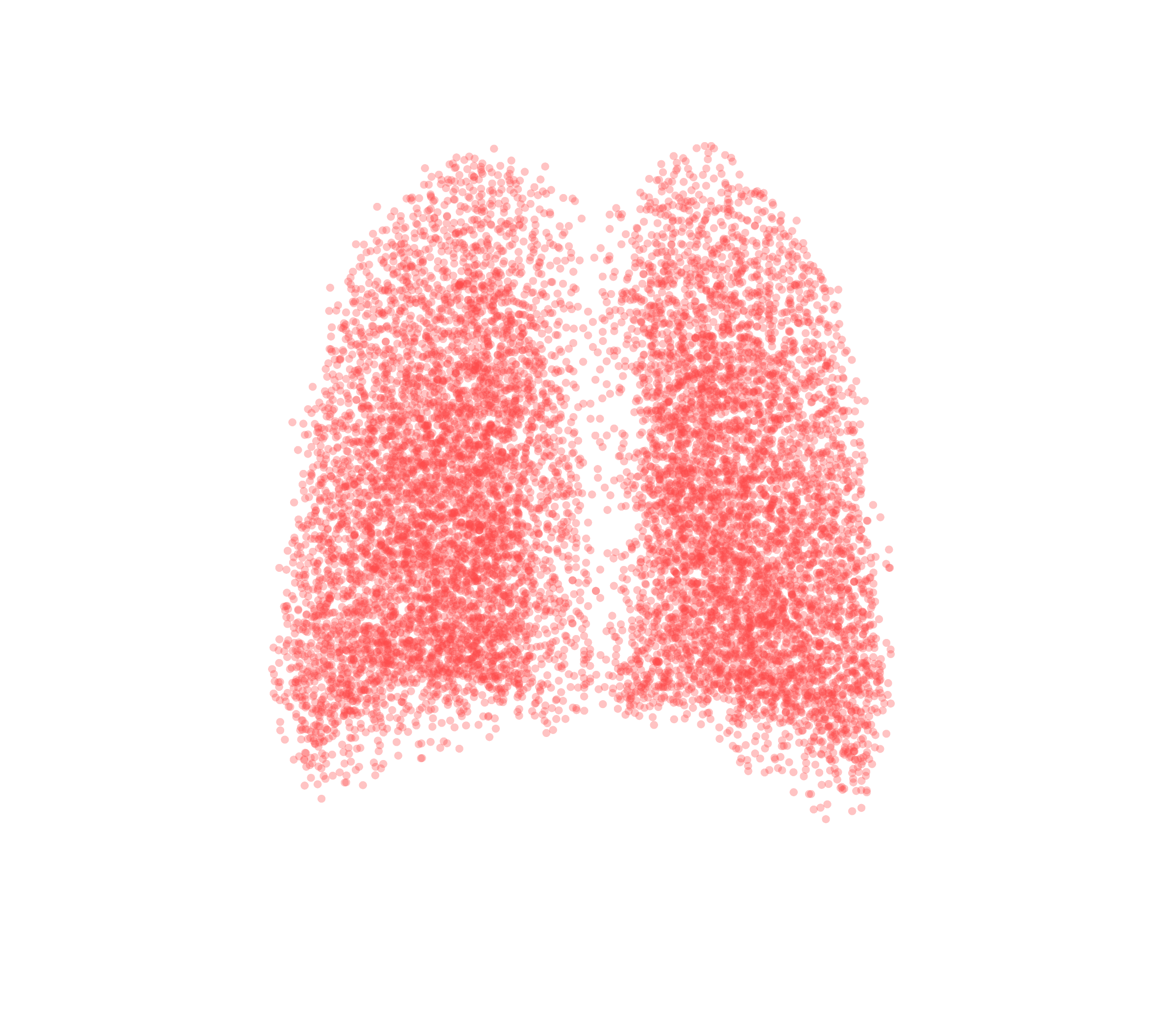 Point Cloud (Expiration) - Back View