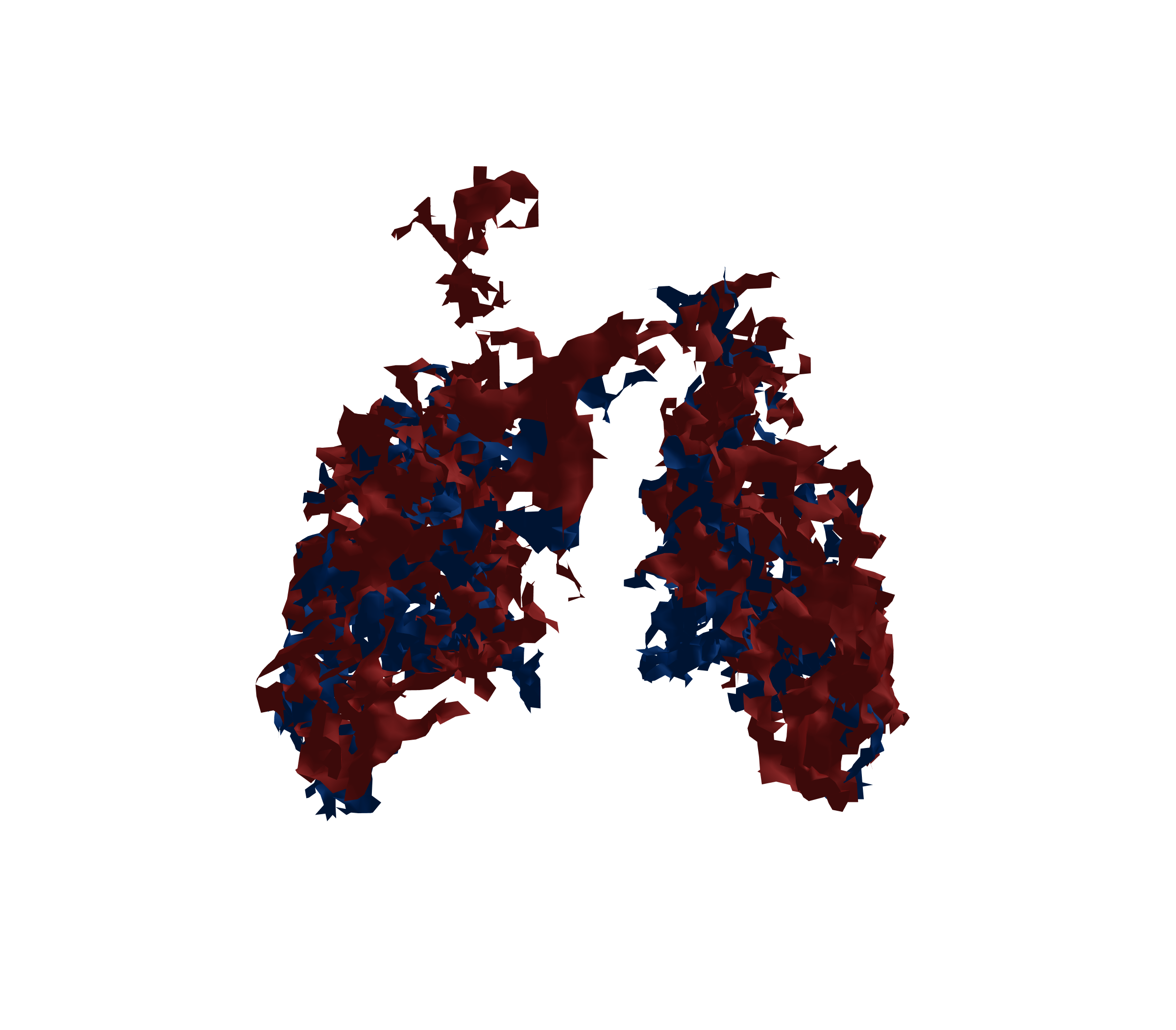 Surface Mesh - Back View