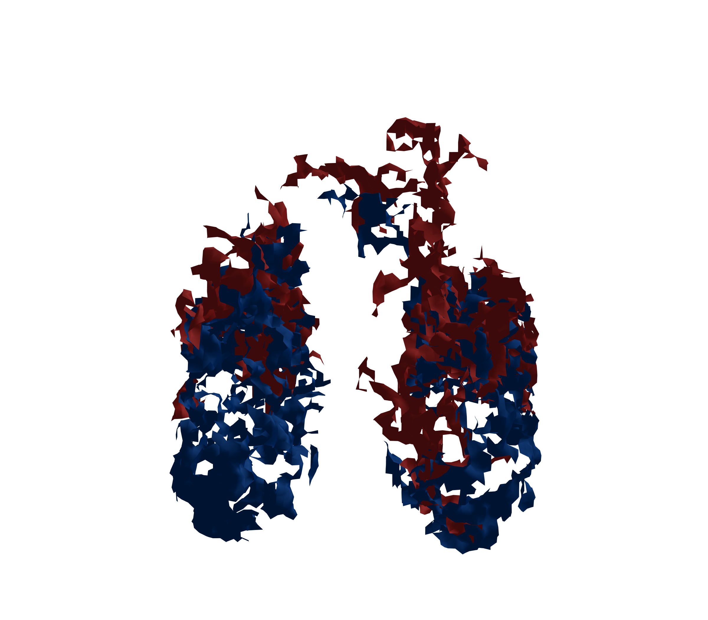 Surface Mesh - Front View