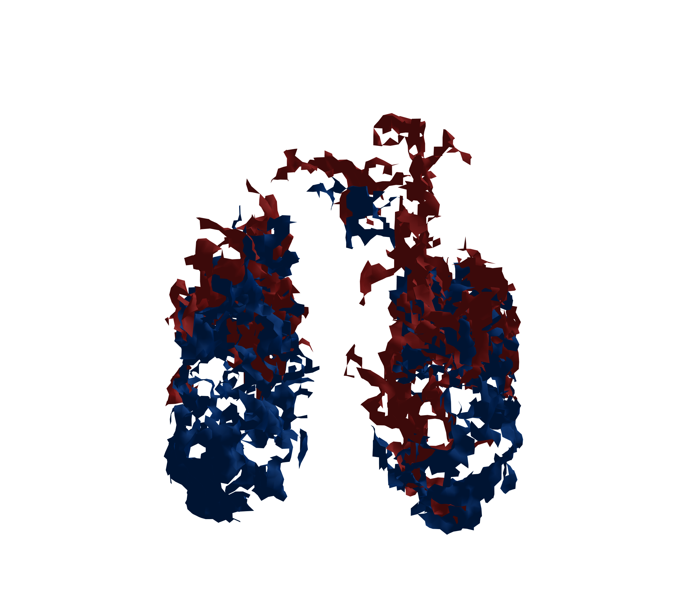 Surface Mesh - Front View