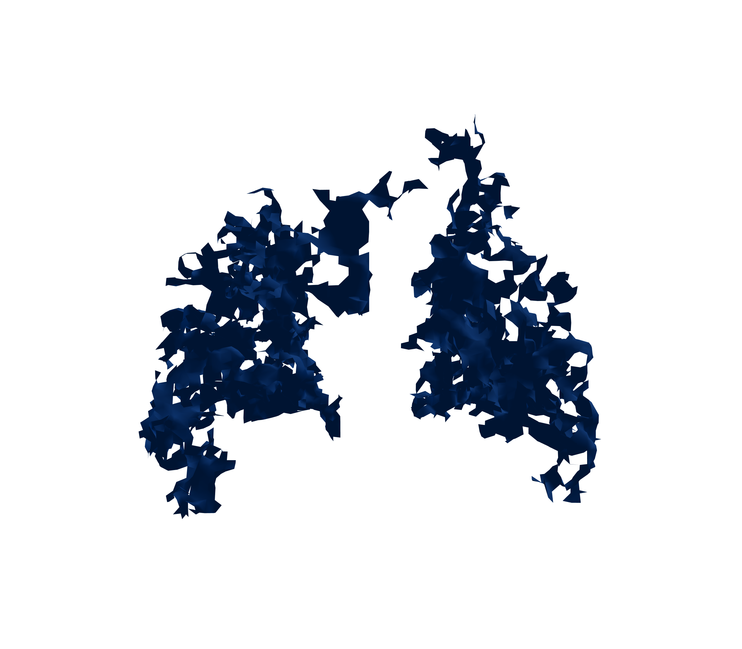 Surface Mesh (Inspiration) - Back View