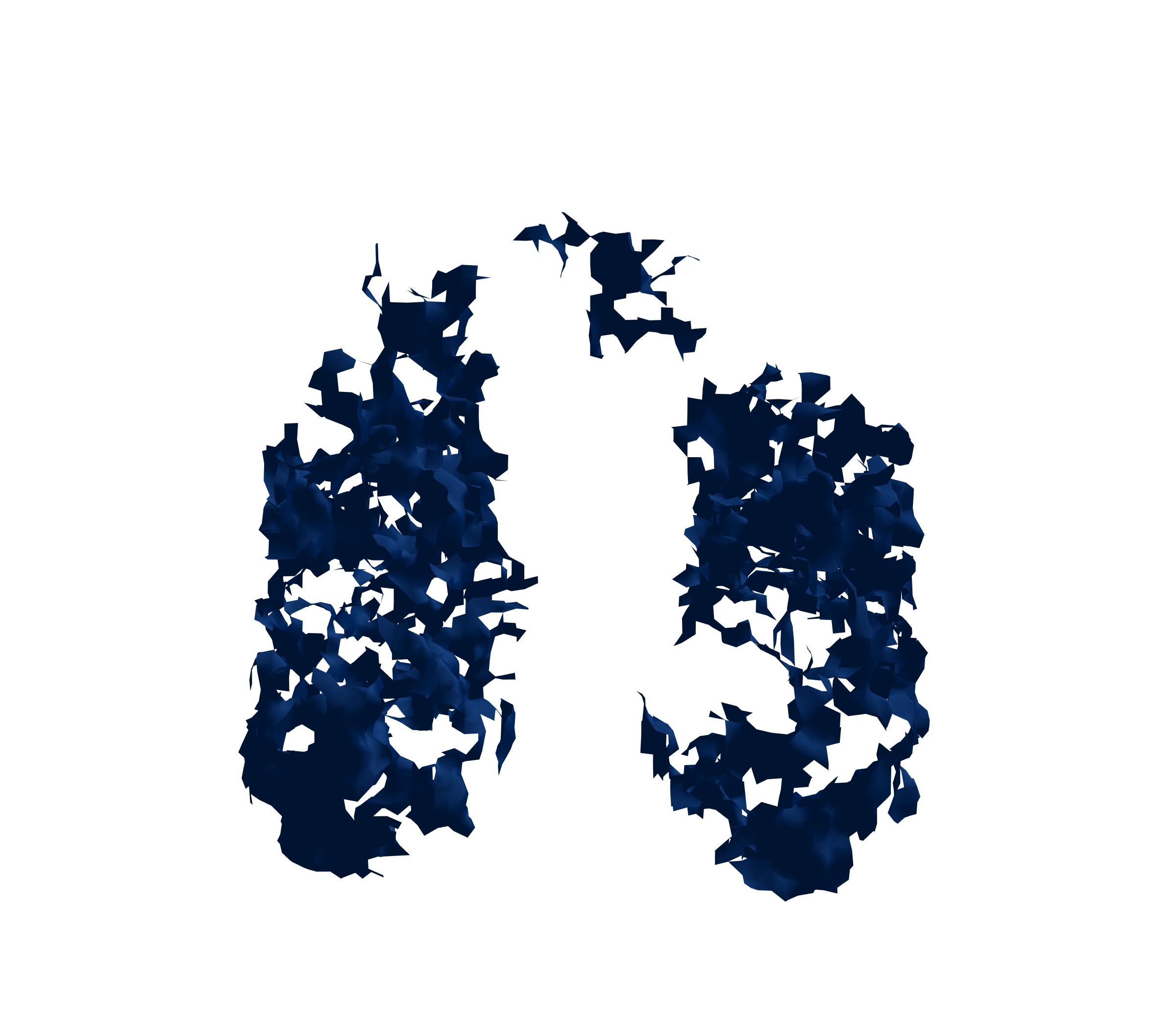 Surface Mesh (Inspiration) - Front View