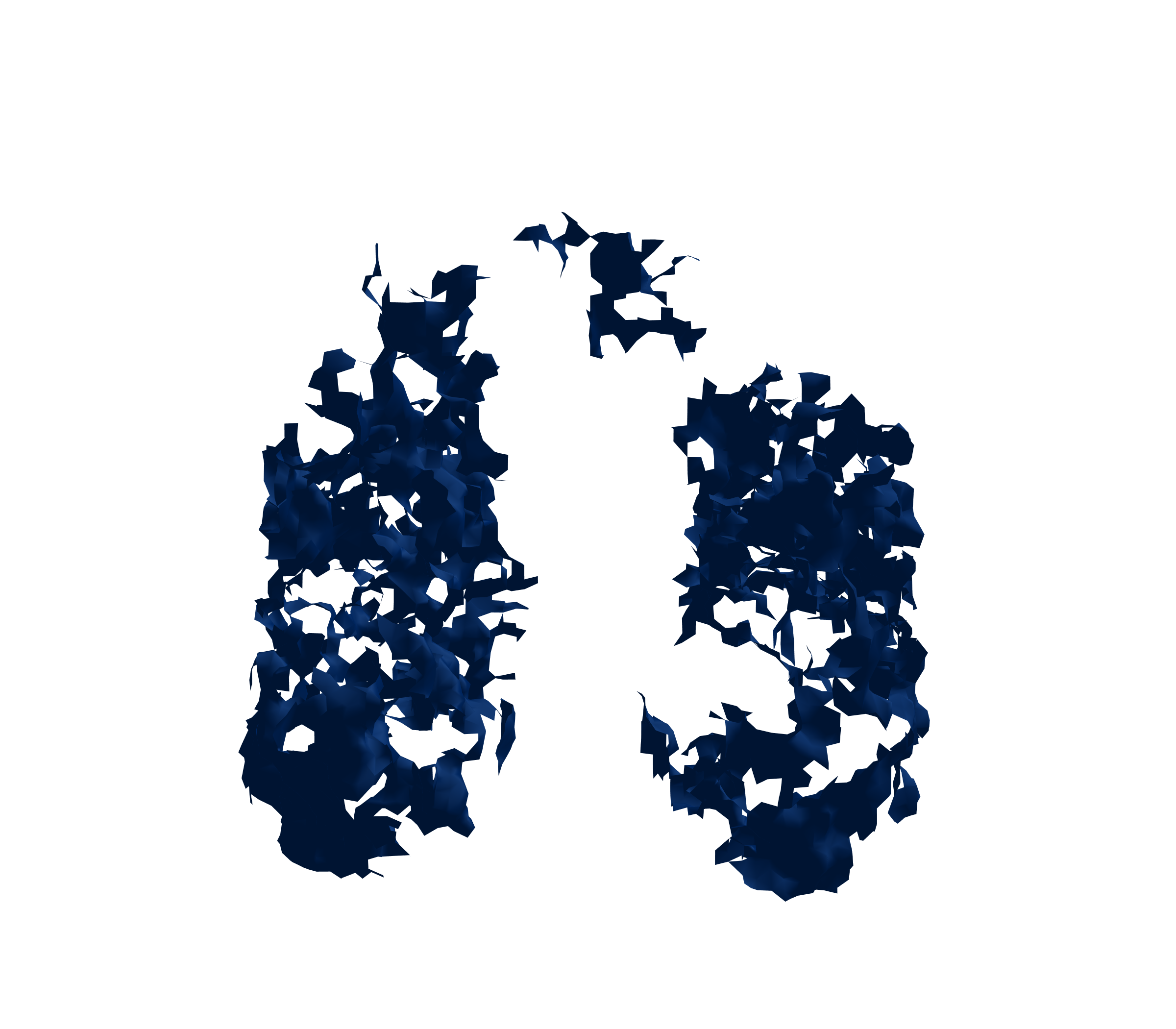 Surface Mesh (Inspiration) - Front View