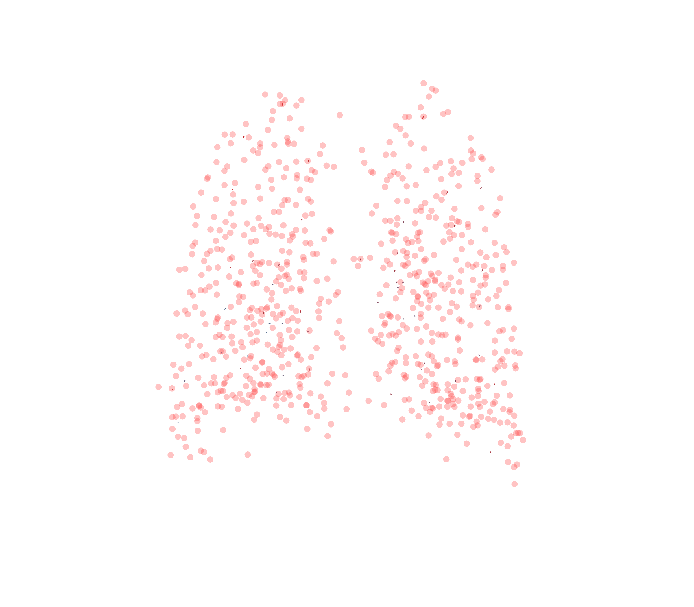 Displacement Vectors - Back View
