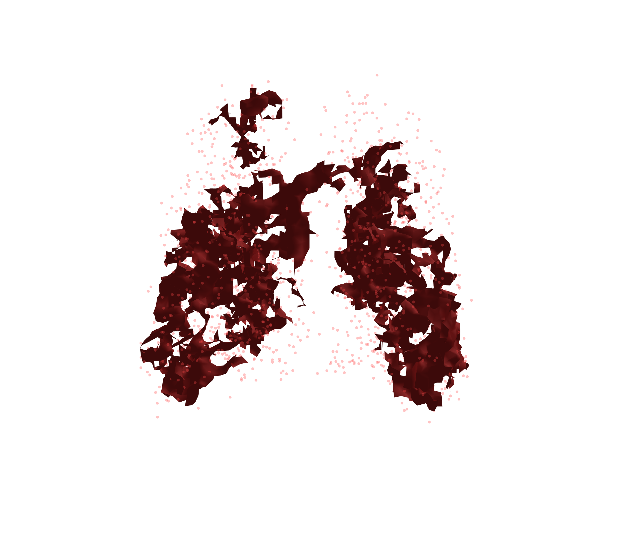 Combined Visualization (Expiration) - Back View