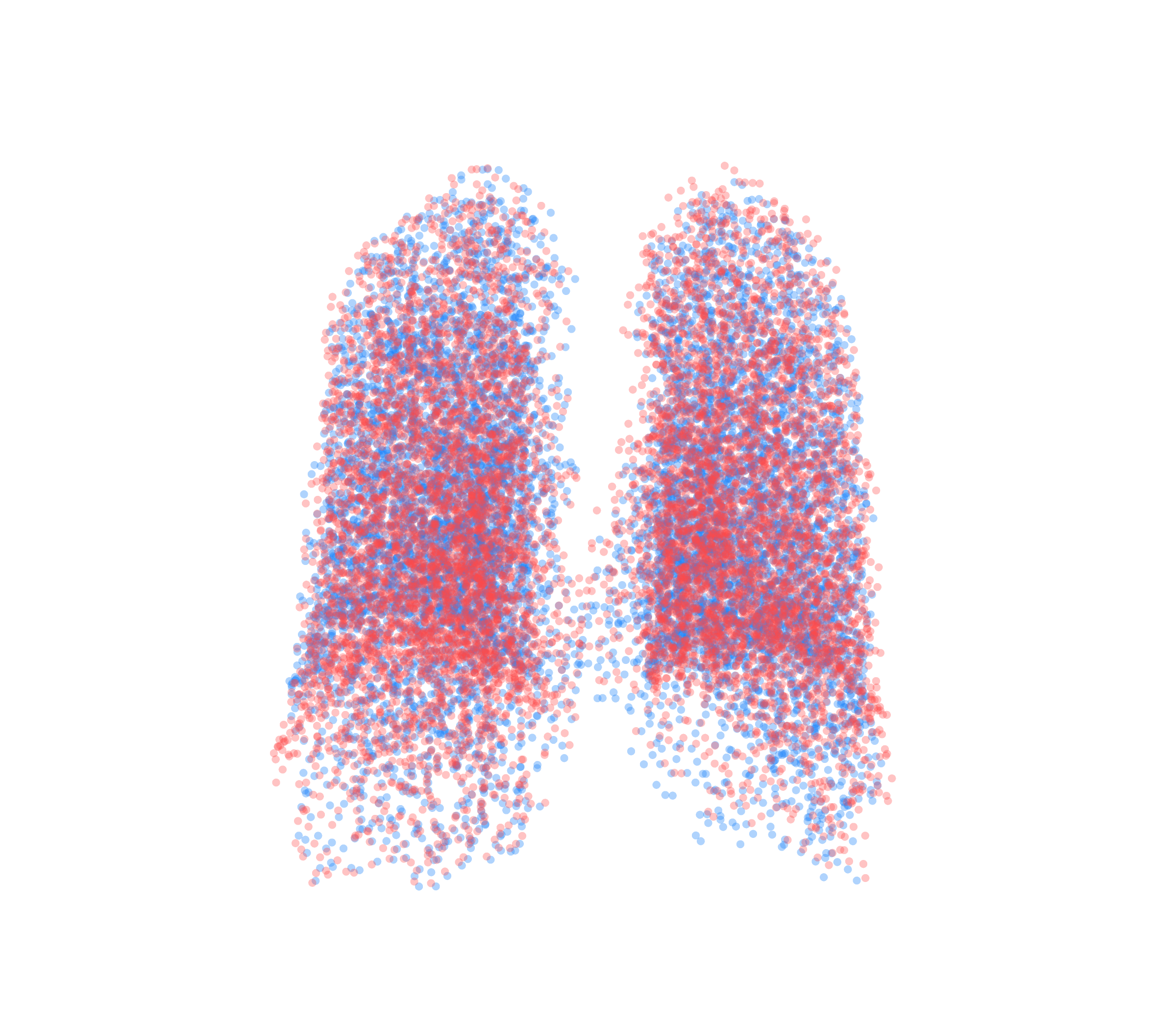 Point Cloud - Back View