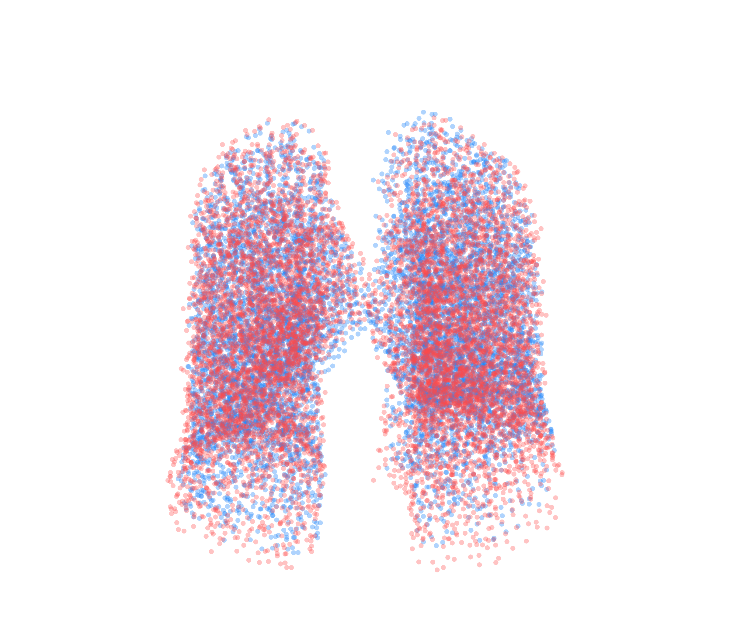 Point Cloud - Front View