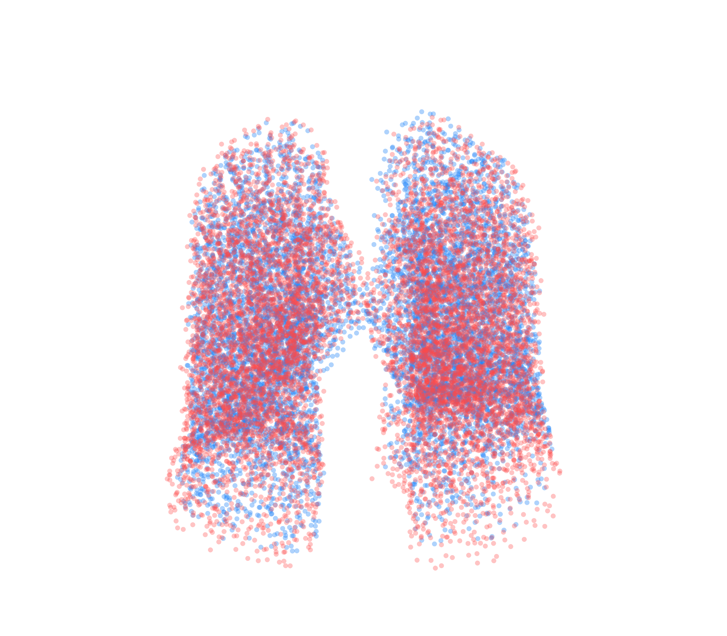 Point Cloud - Front View