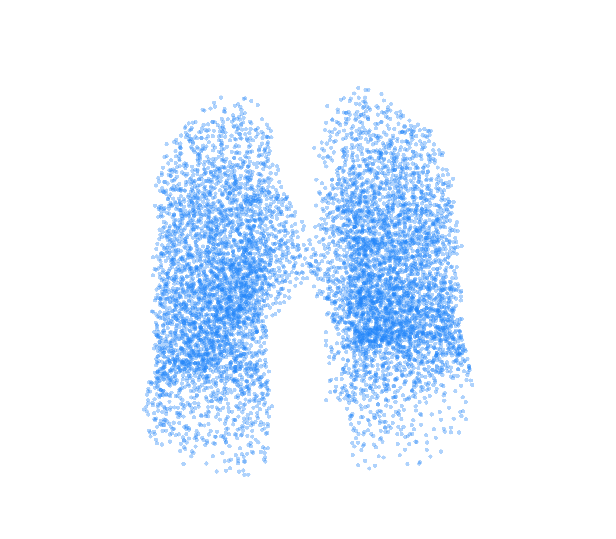 Point Cloud (Inspiration) - Front View