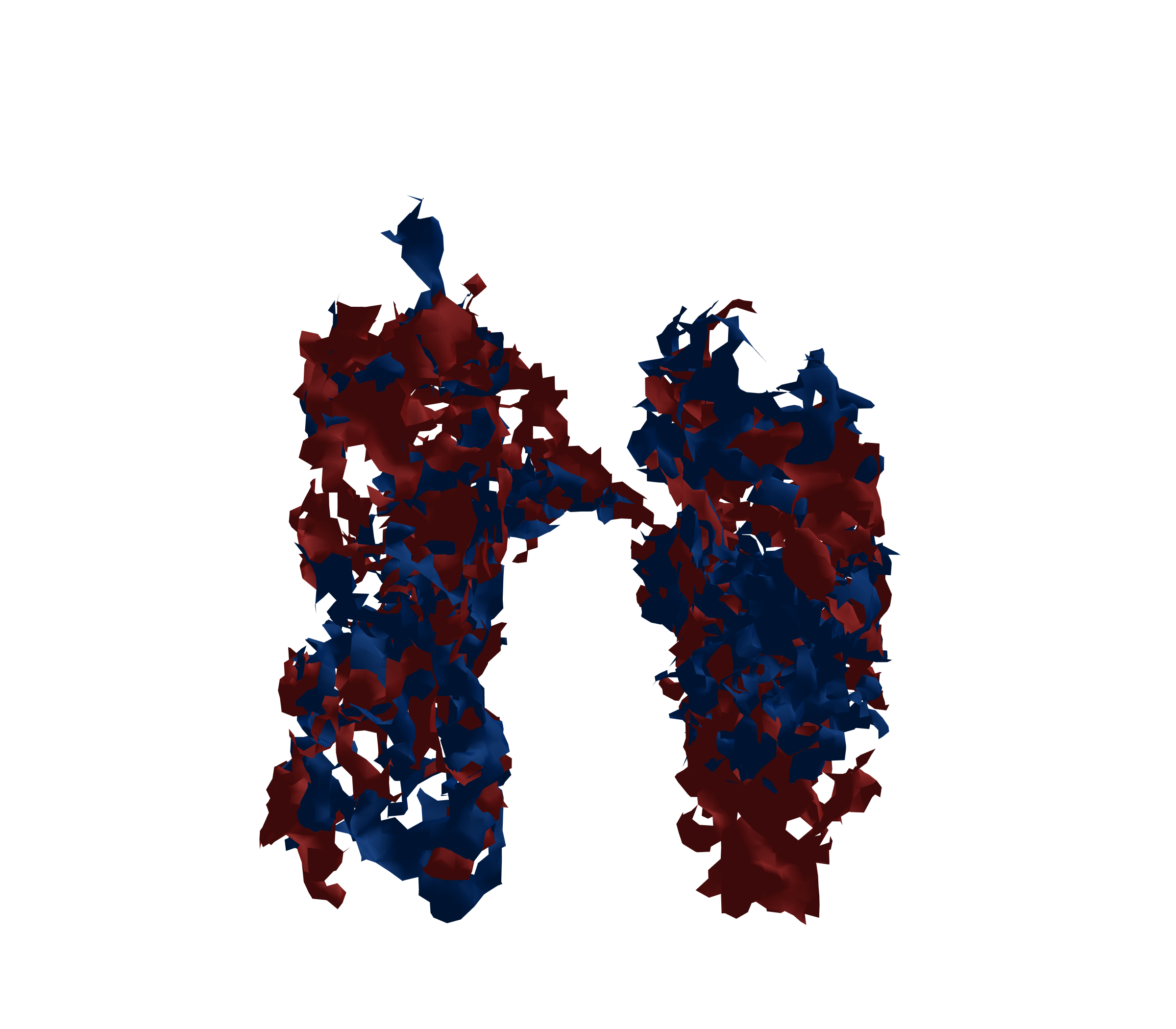 Surface Mesh - Front View