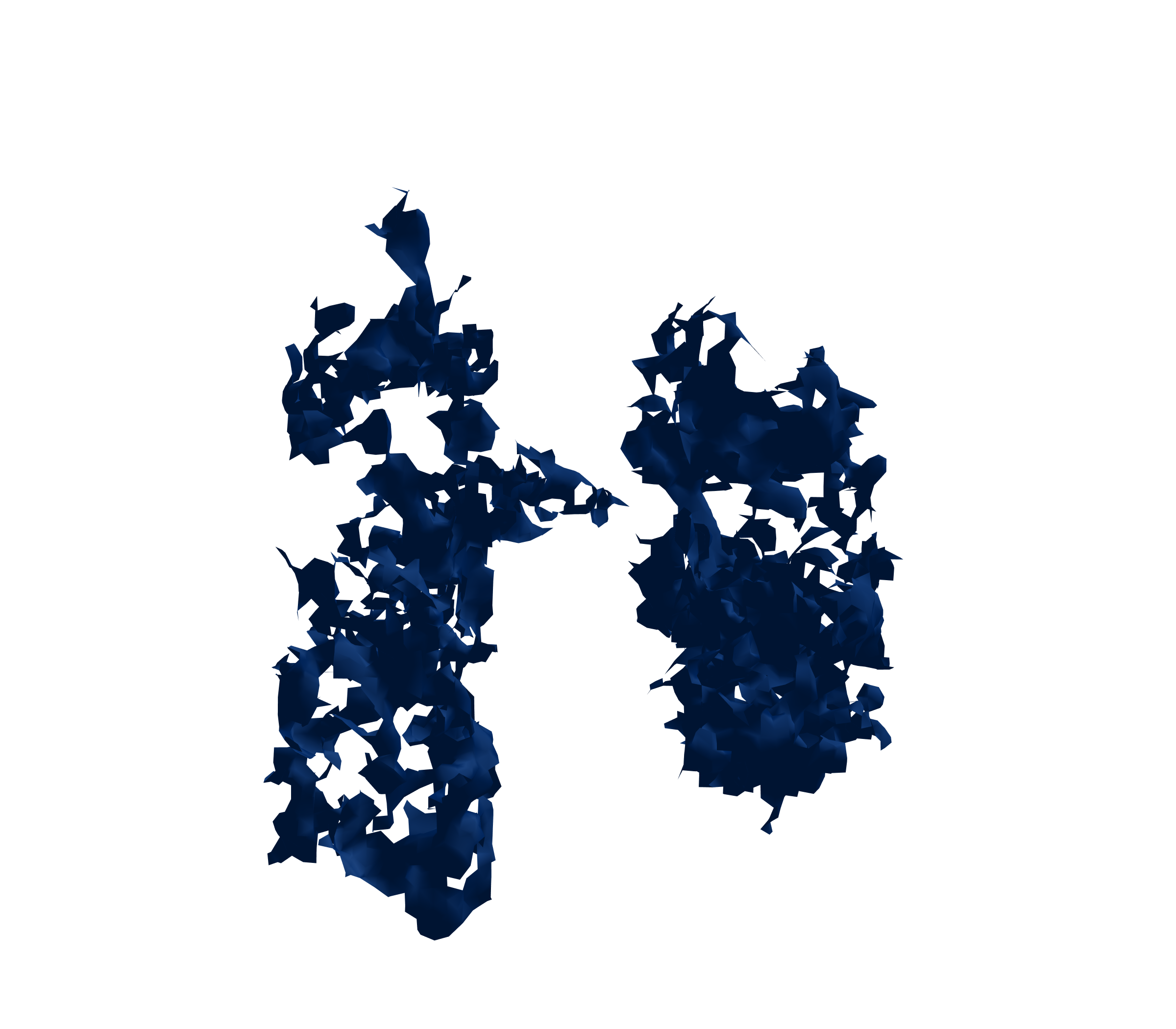 Surface Mesh (Inspiration) - Front View