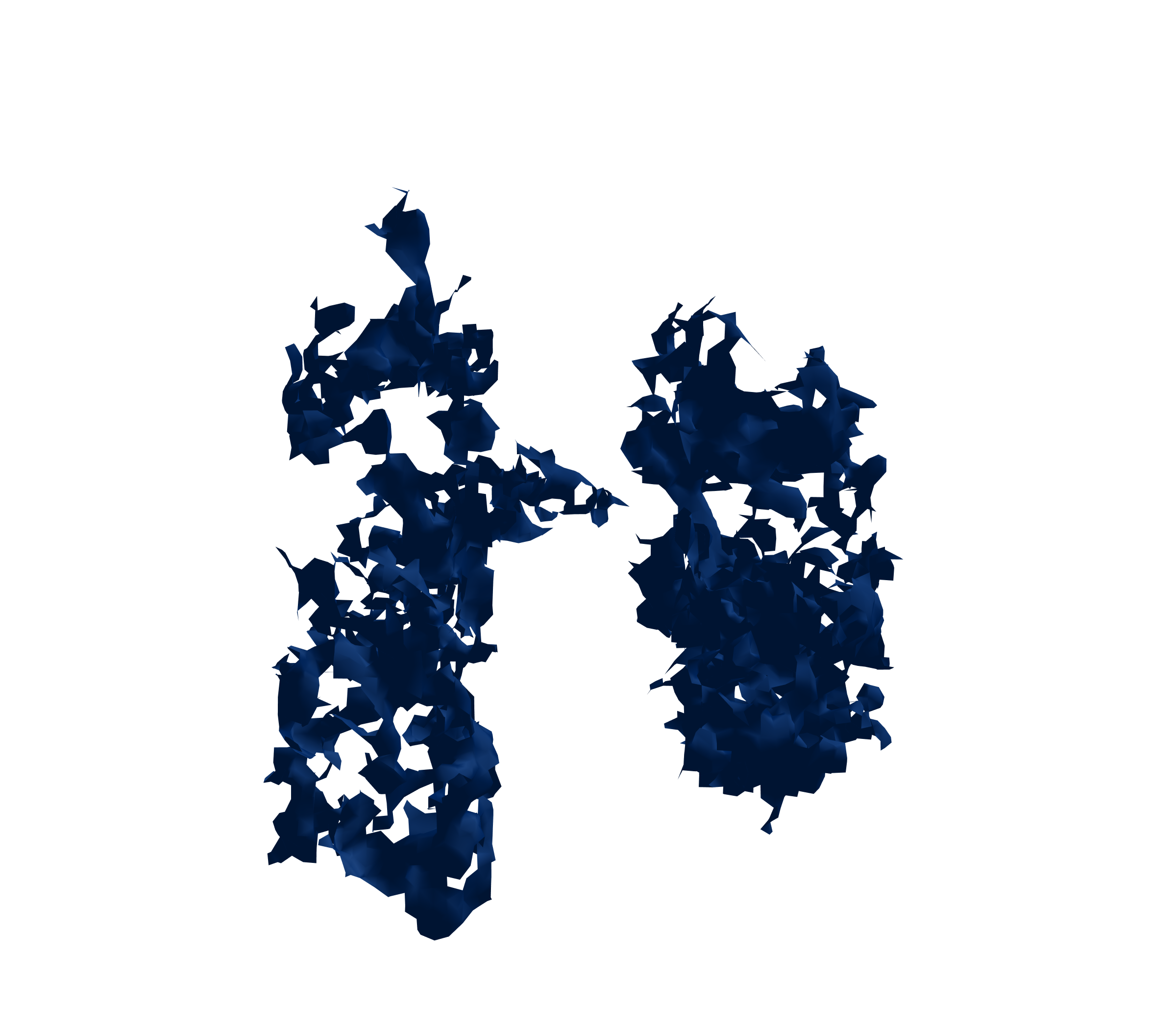 Surface Mesh (Inspiration) - Front View