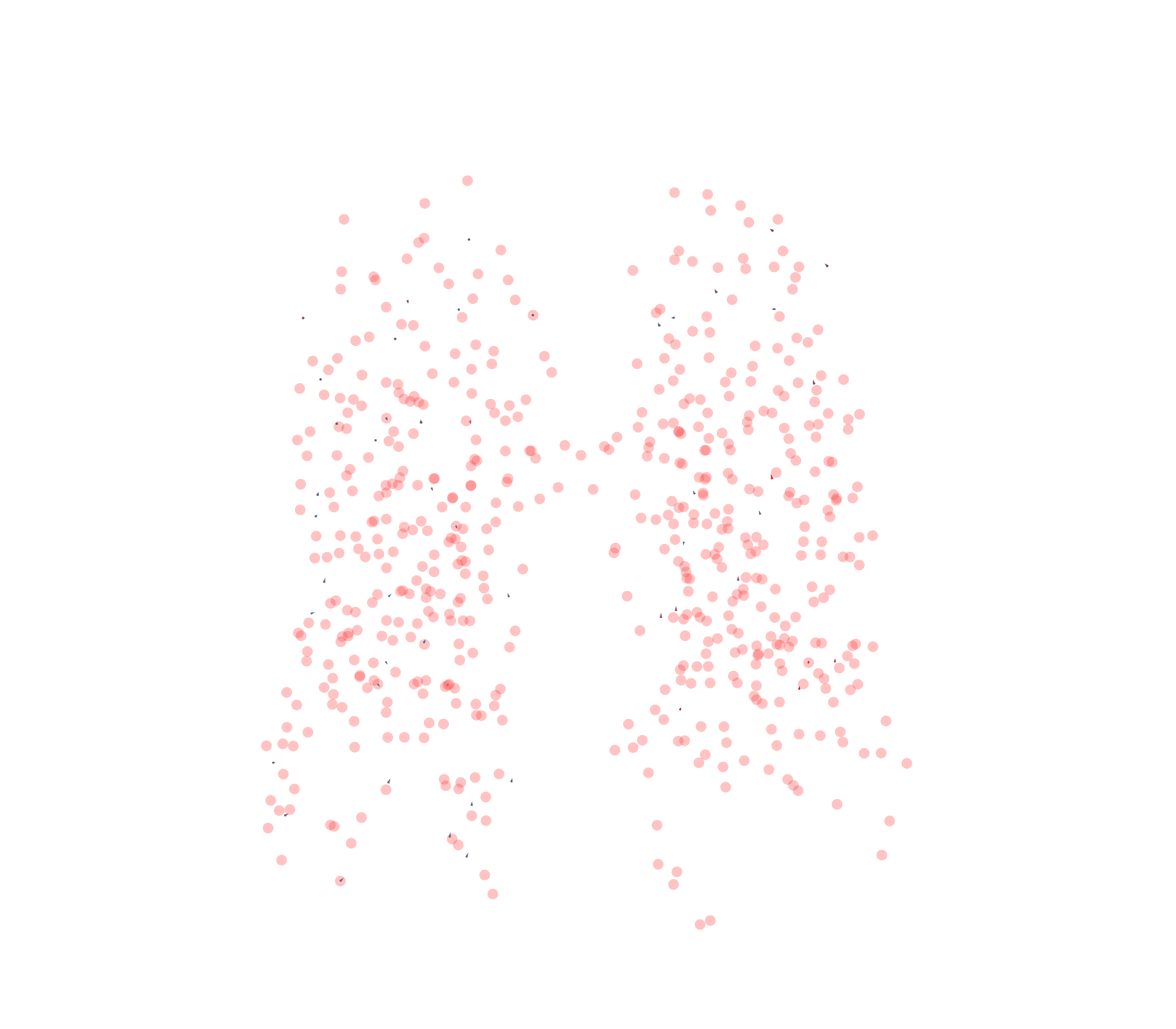 Displacement Vectors - Front View