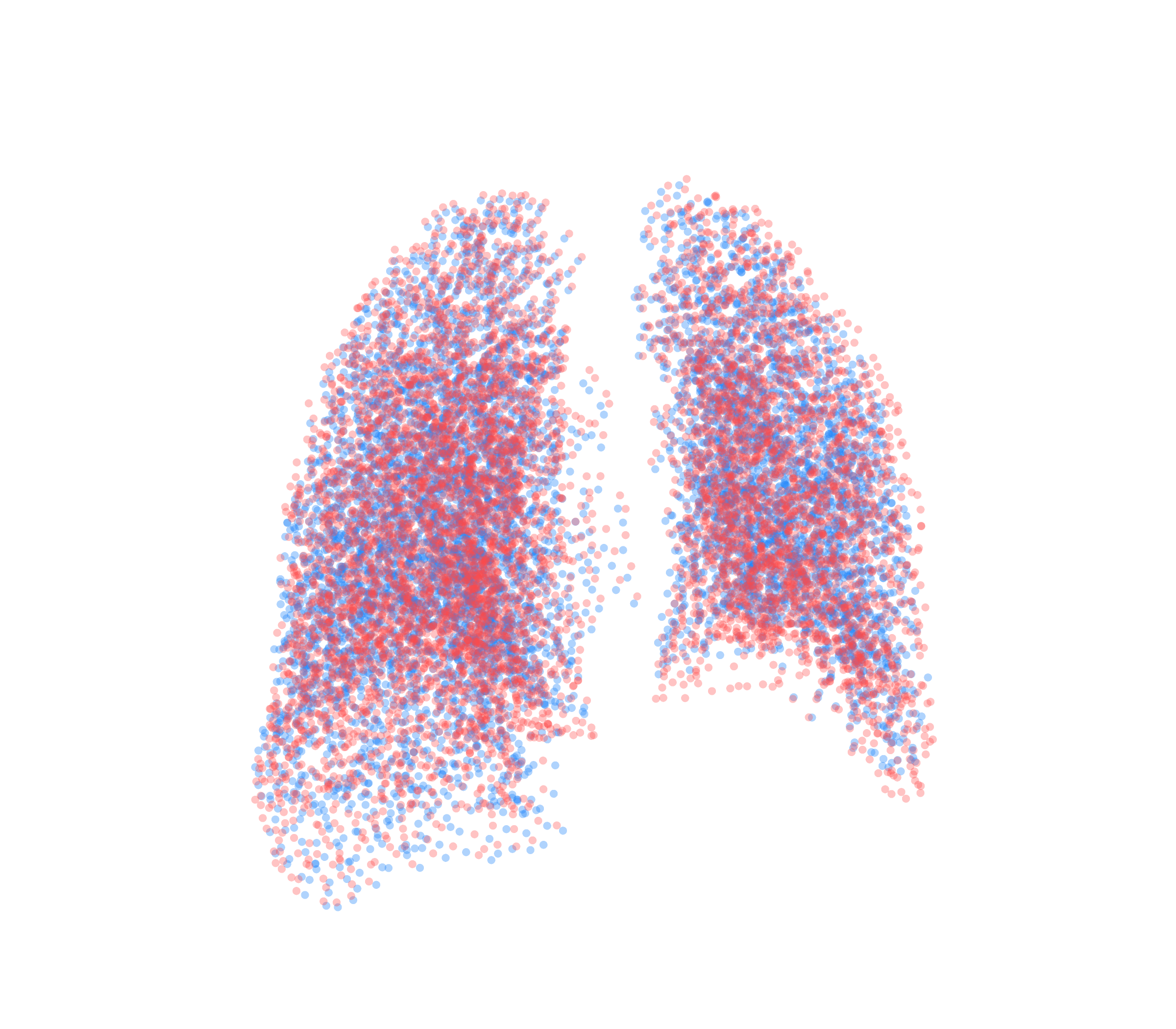 Point Cloud - Back View