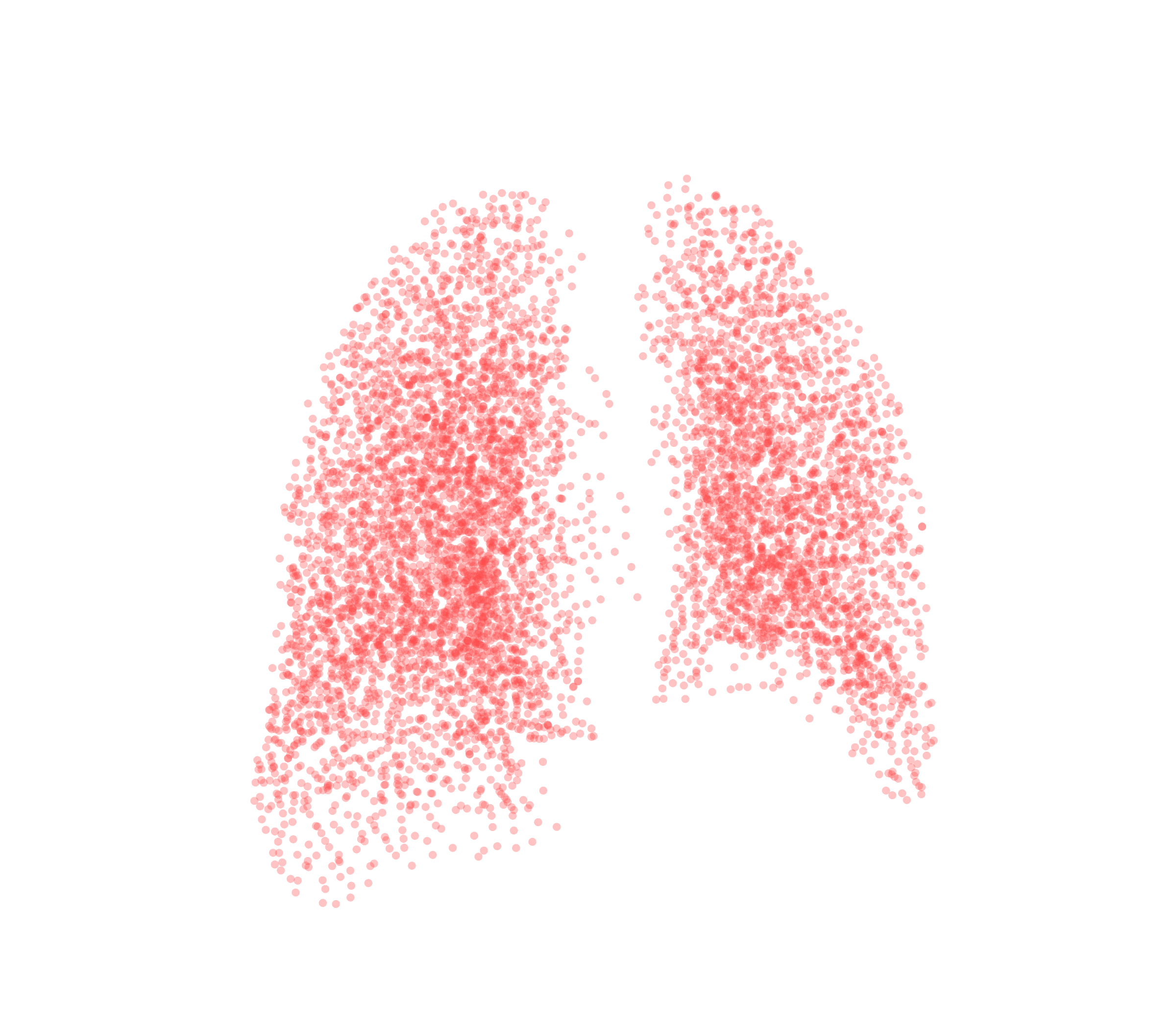 Point Cloud (Expiration) - Back View