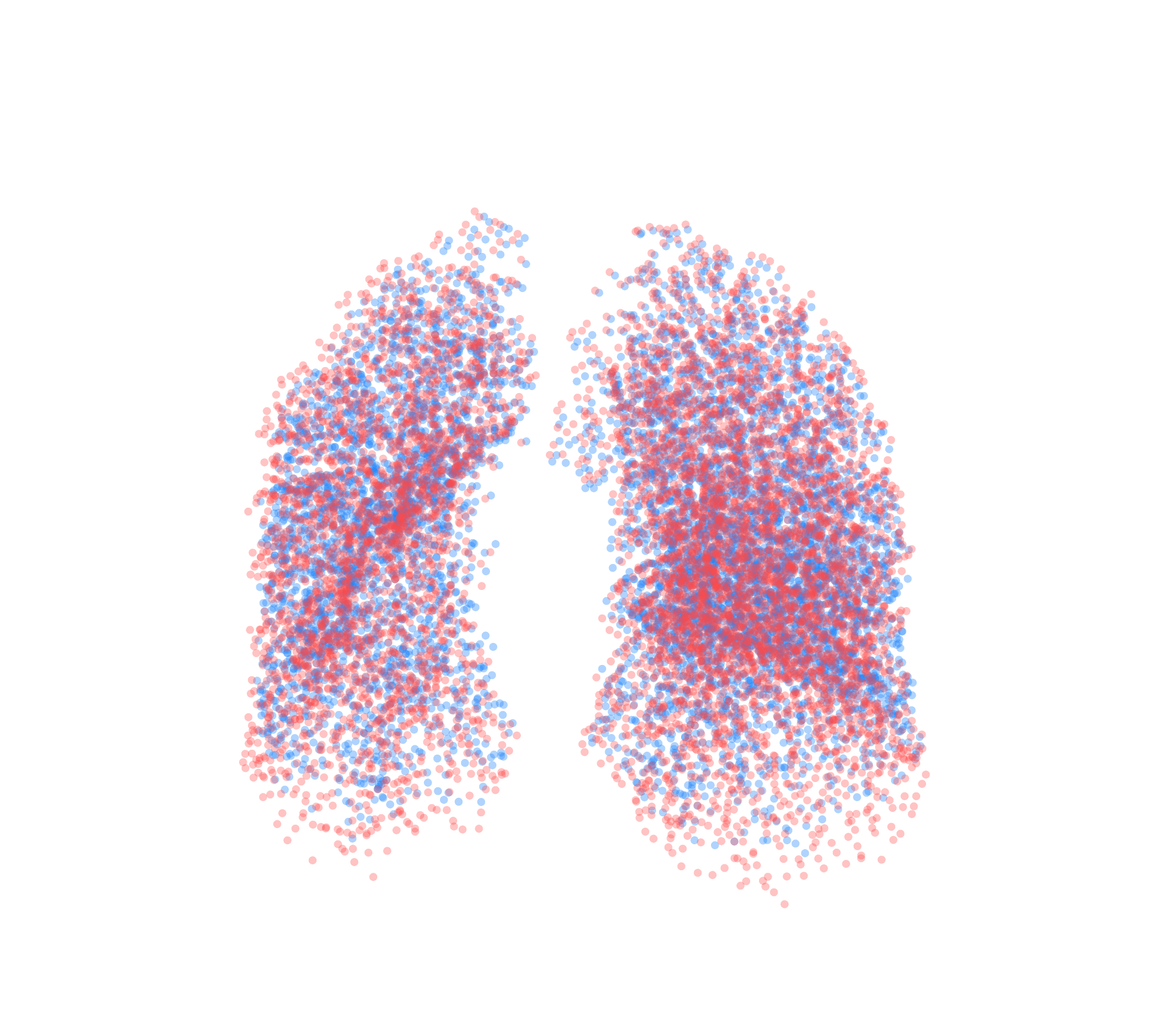 Point Cloud - Front View