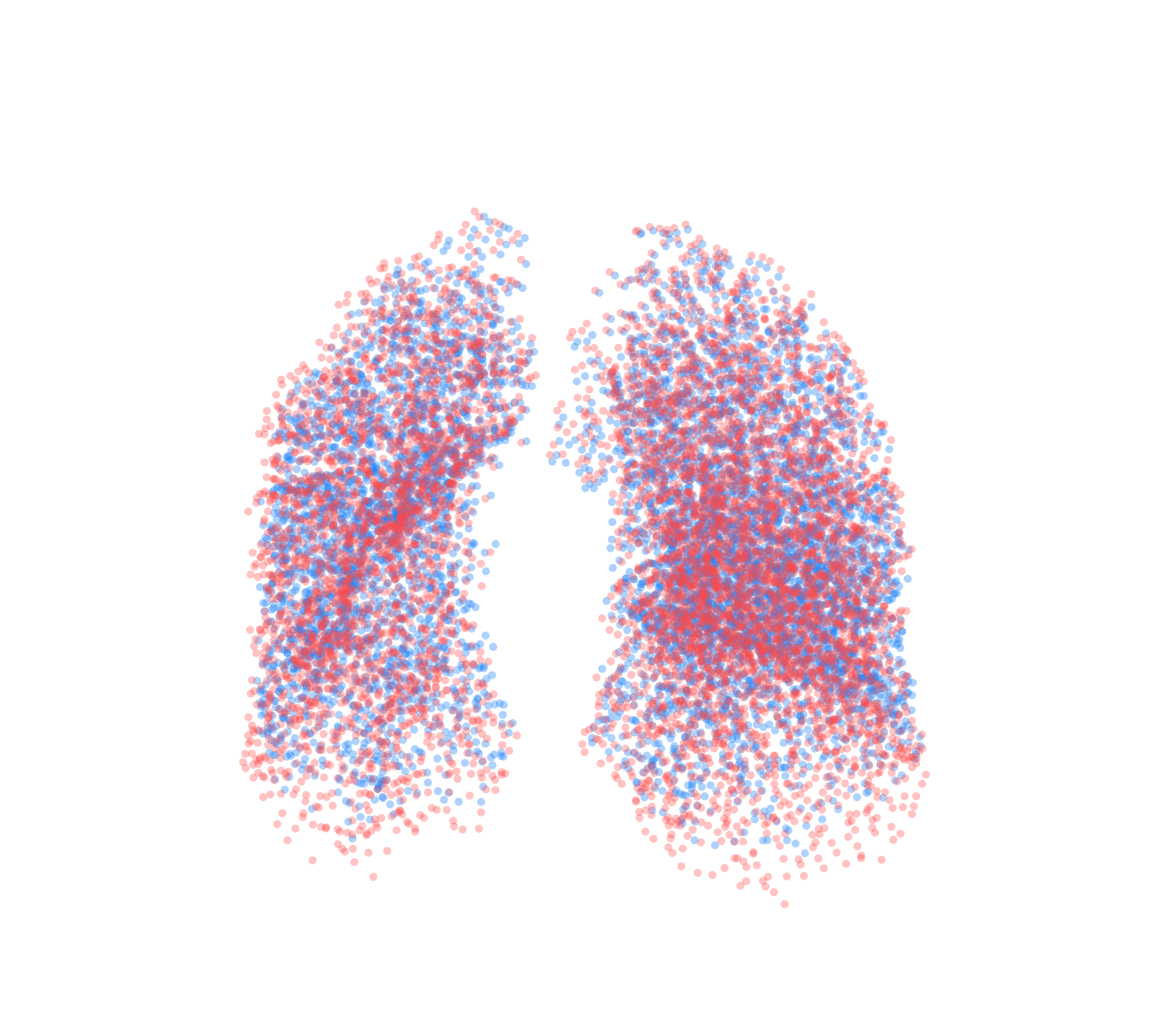 Point Cloud - Front View