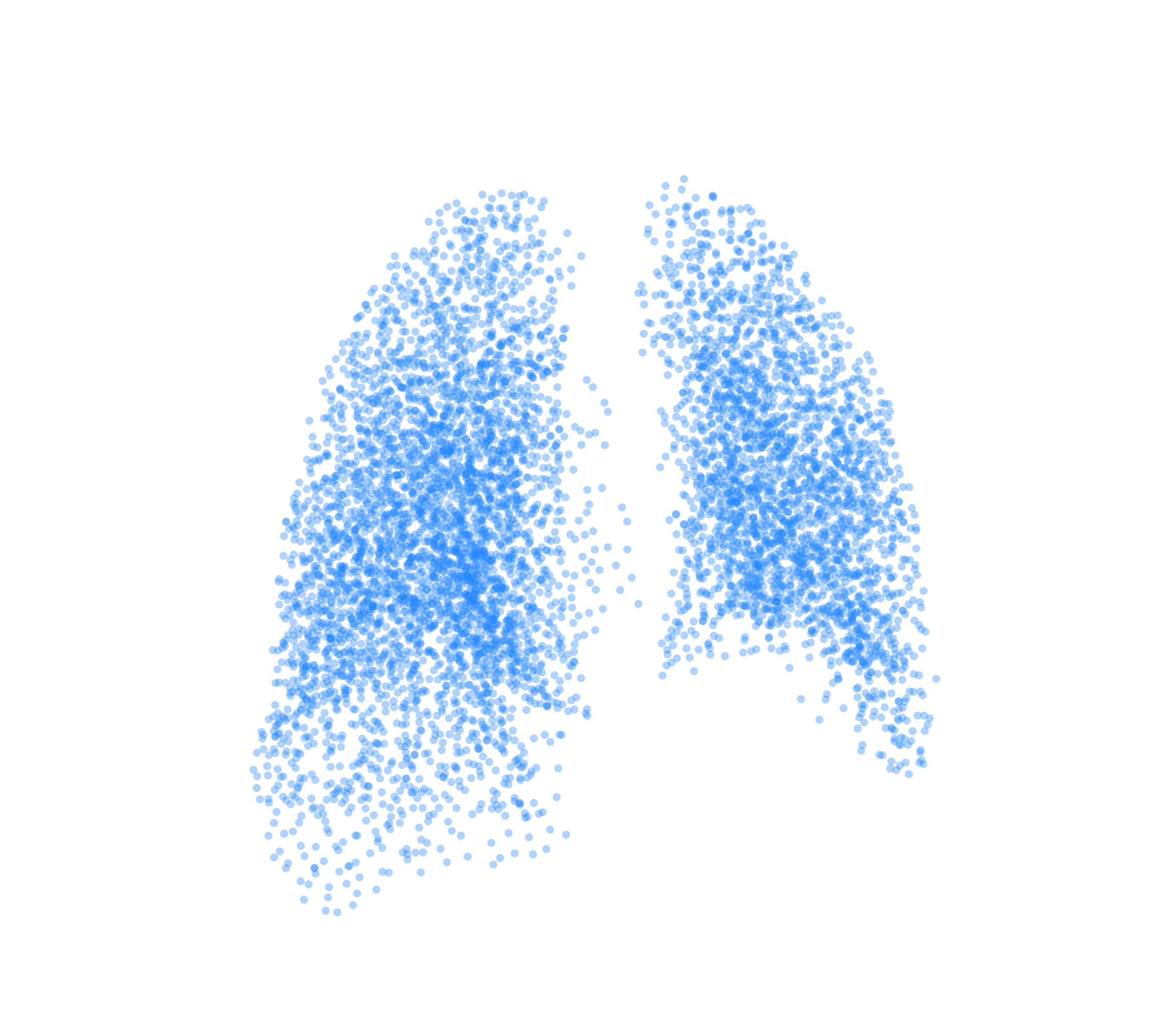 Point Cloud (Inspiration) - Back View