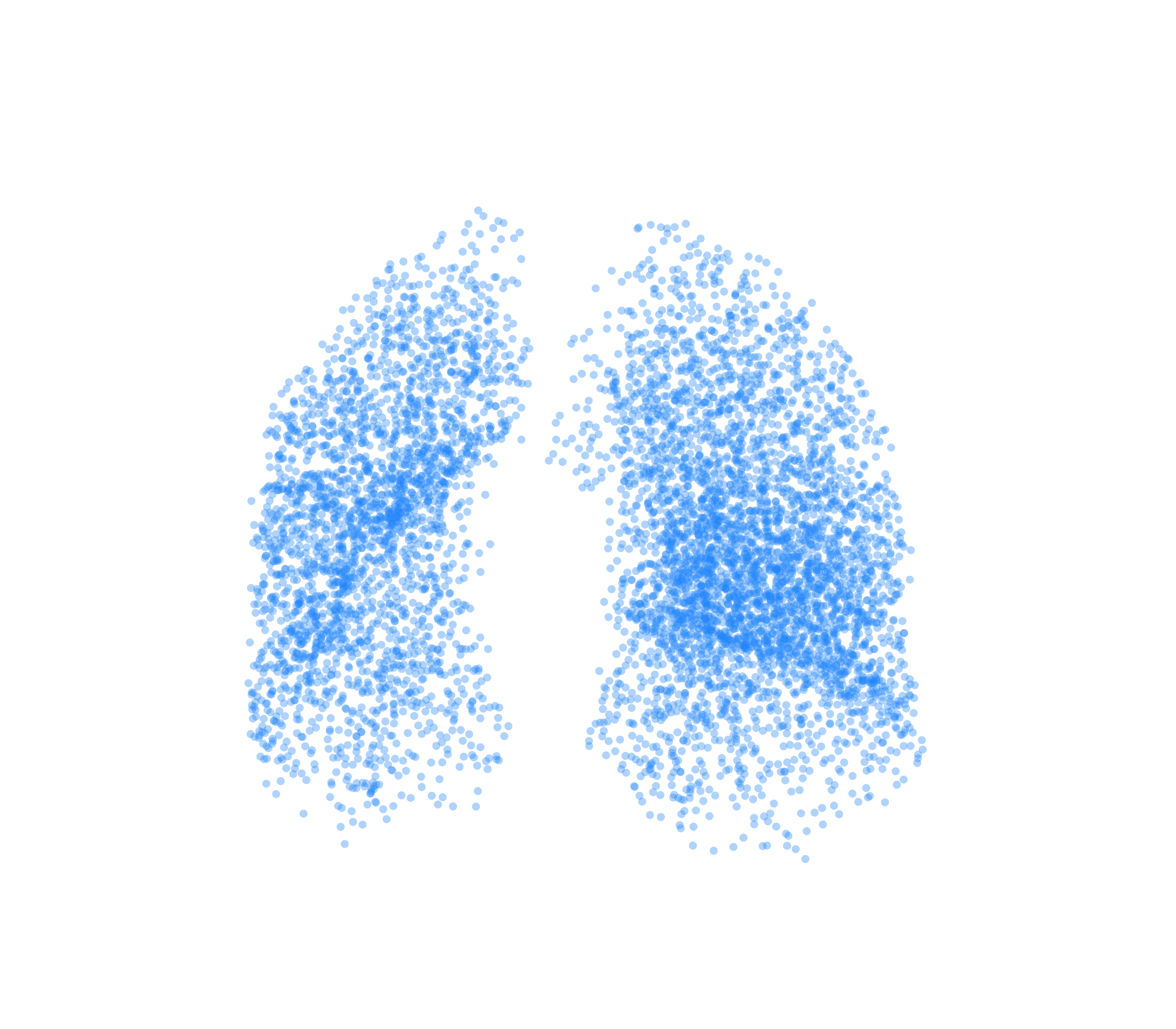 Point Cloud (Inspiration) - Front View