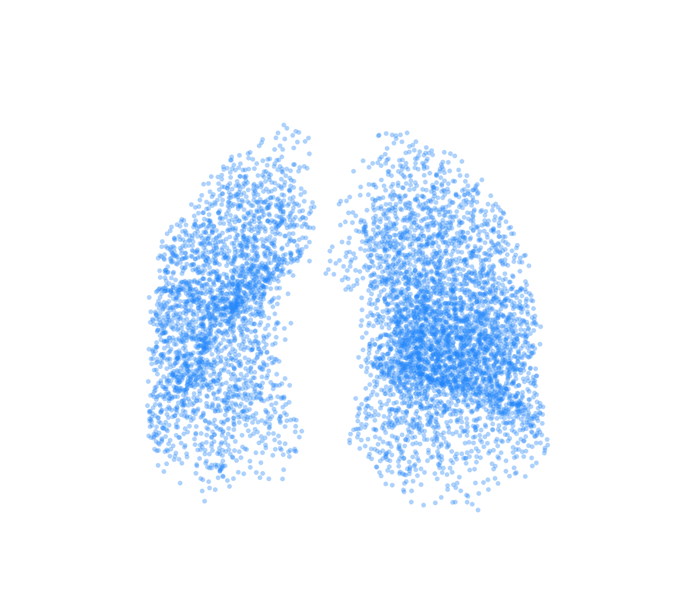Point Cloud (Inspiration) - Front View