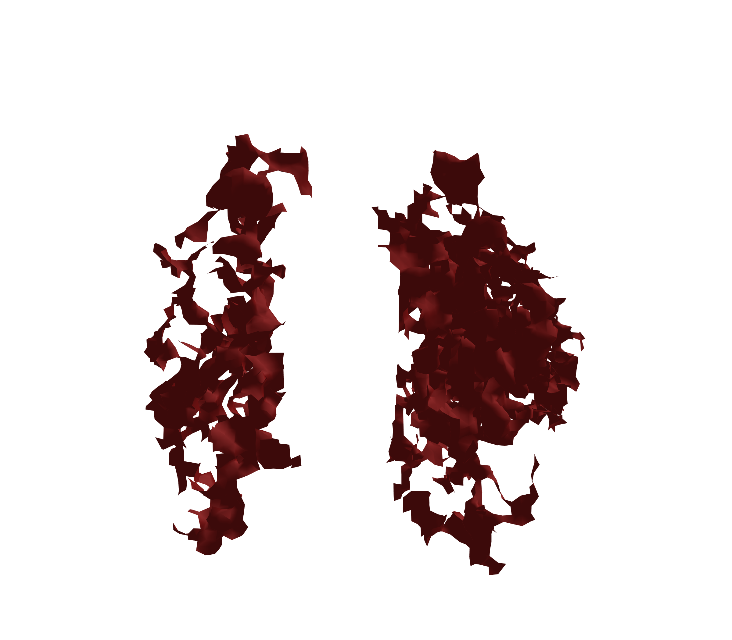 Surface Mesh (Expiration) - Front View