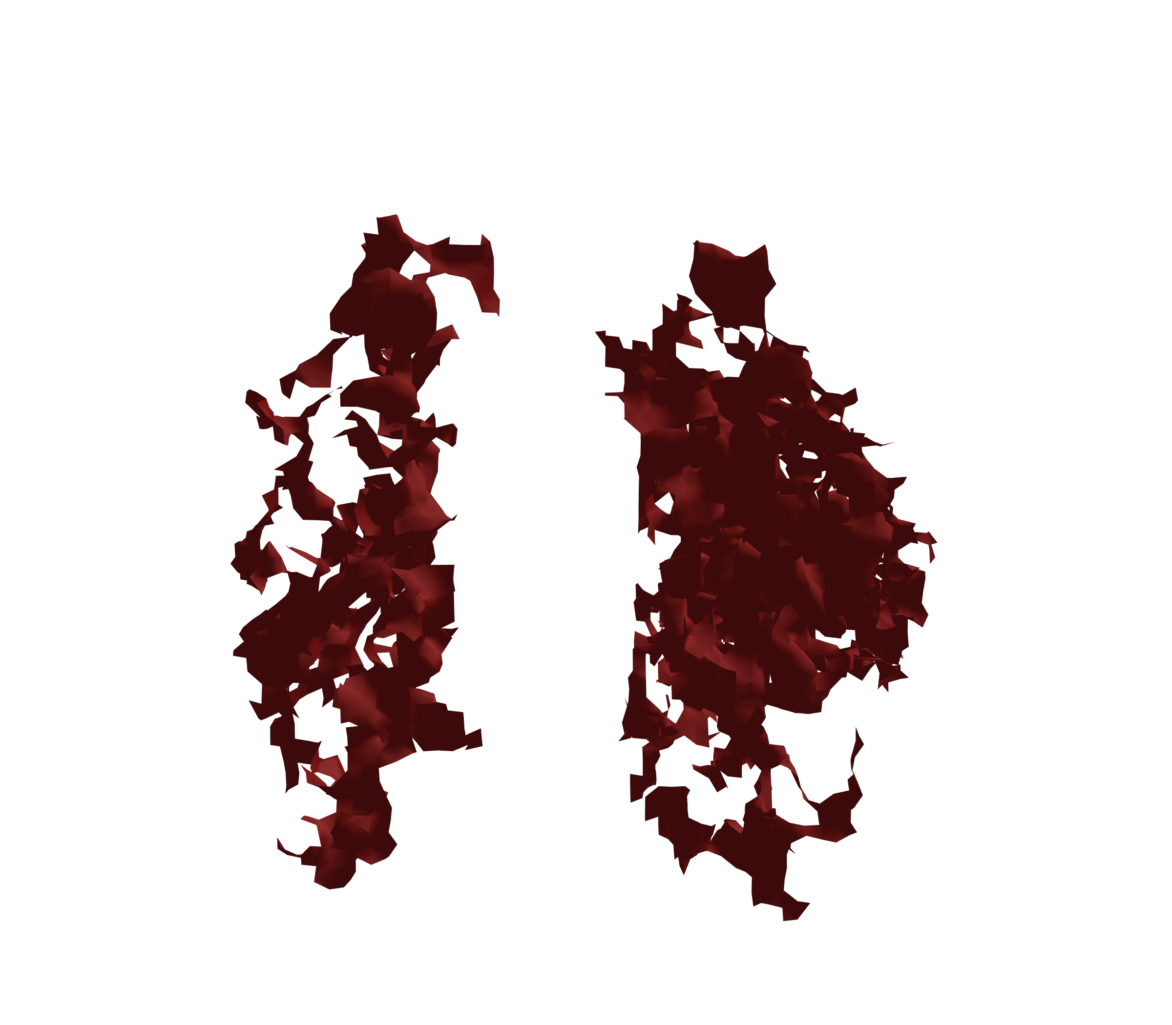 Surface Mesh (Expiration) - Front View