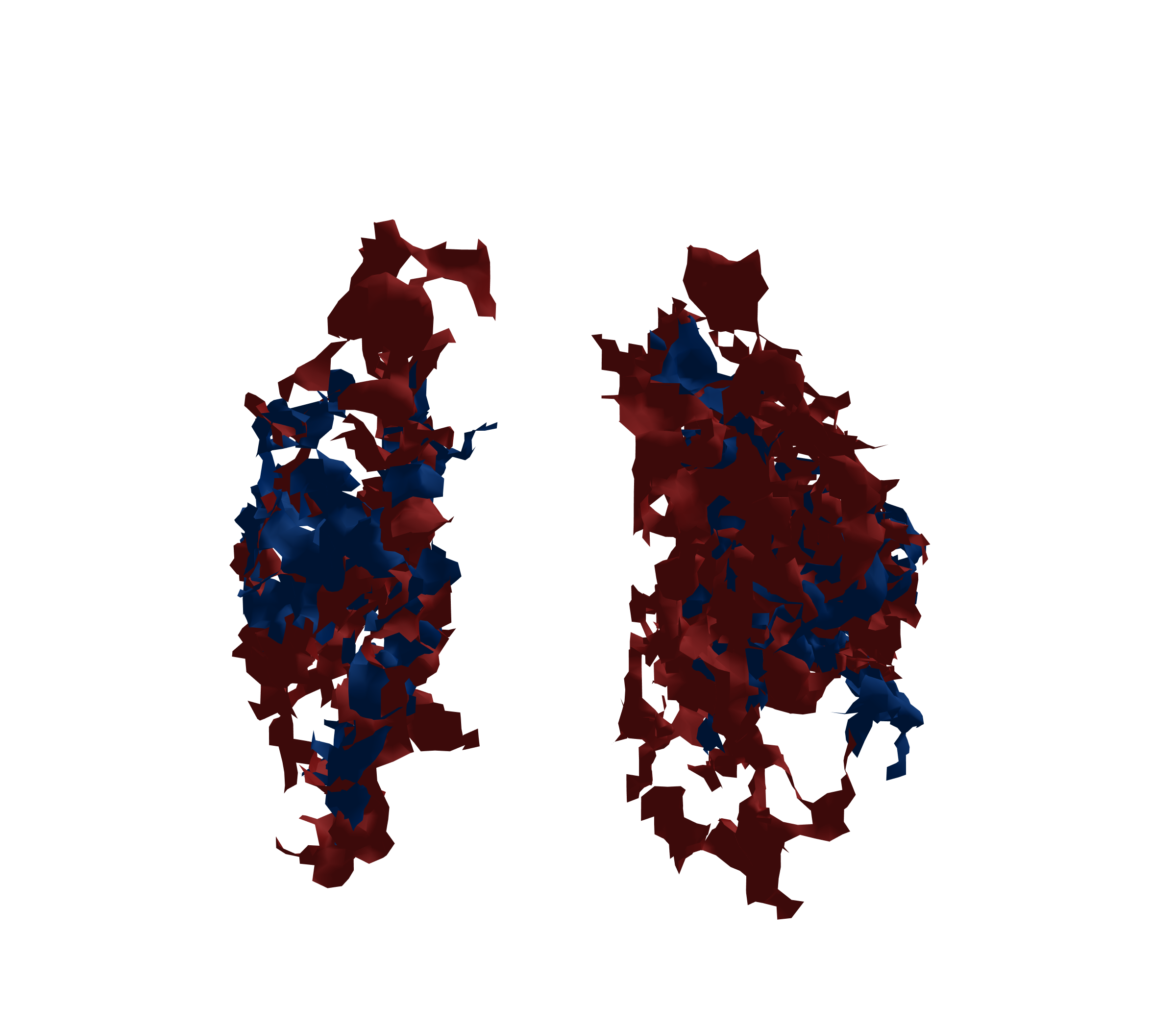 Surface Mesh - Front View