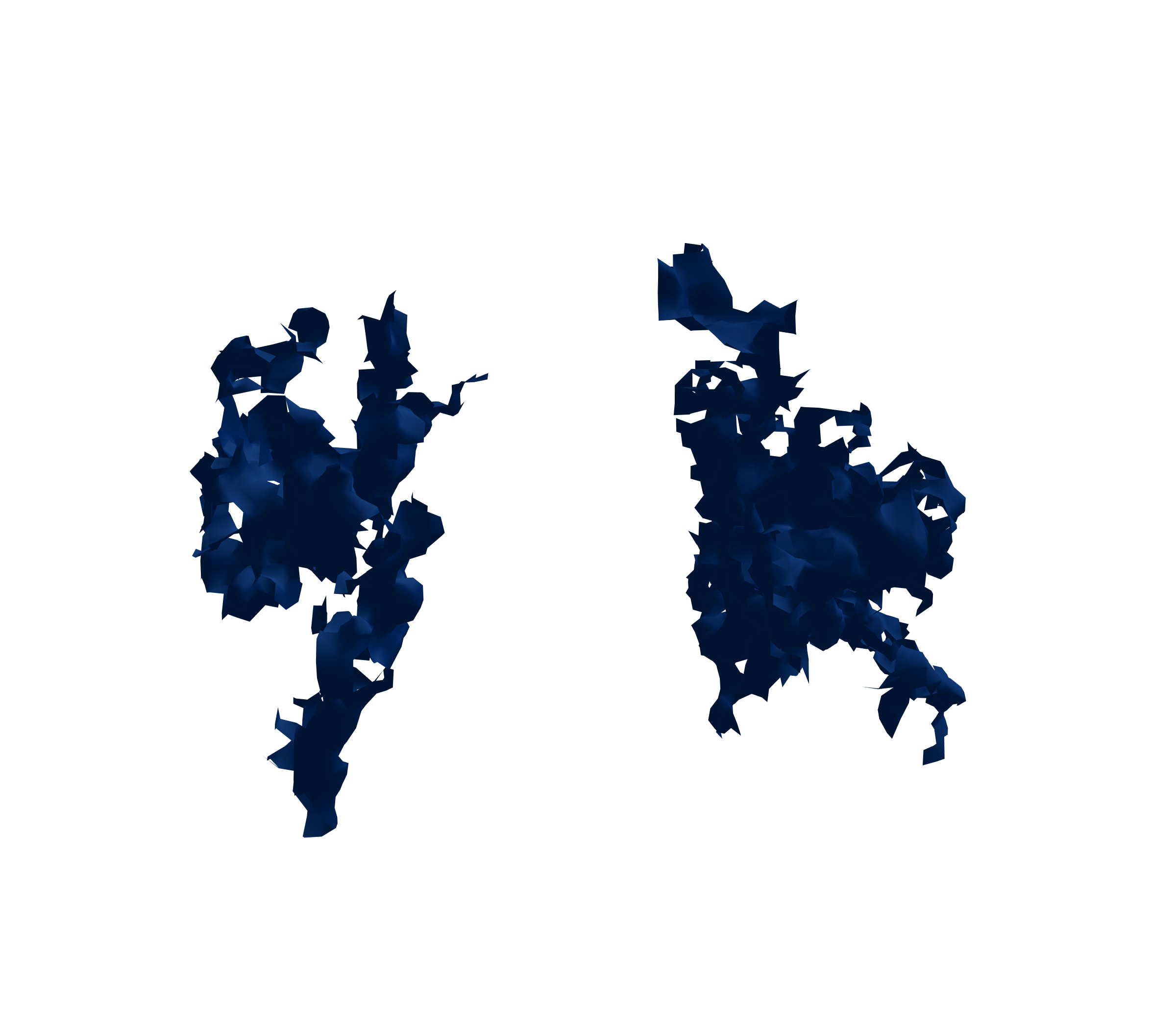 Surface Mesh (Inspiration) - Front View