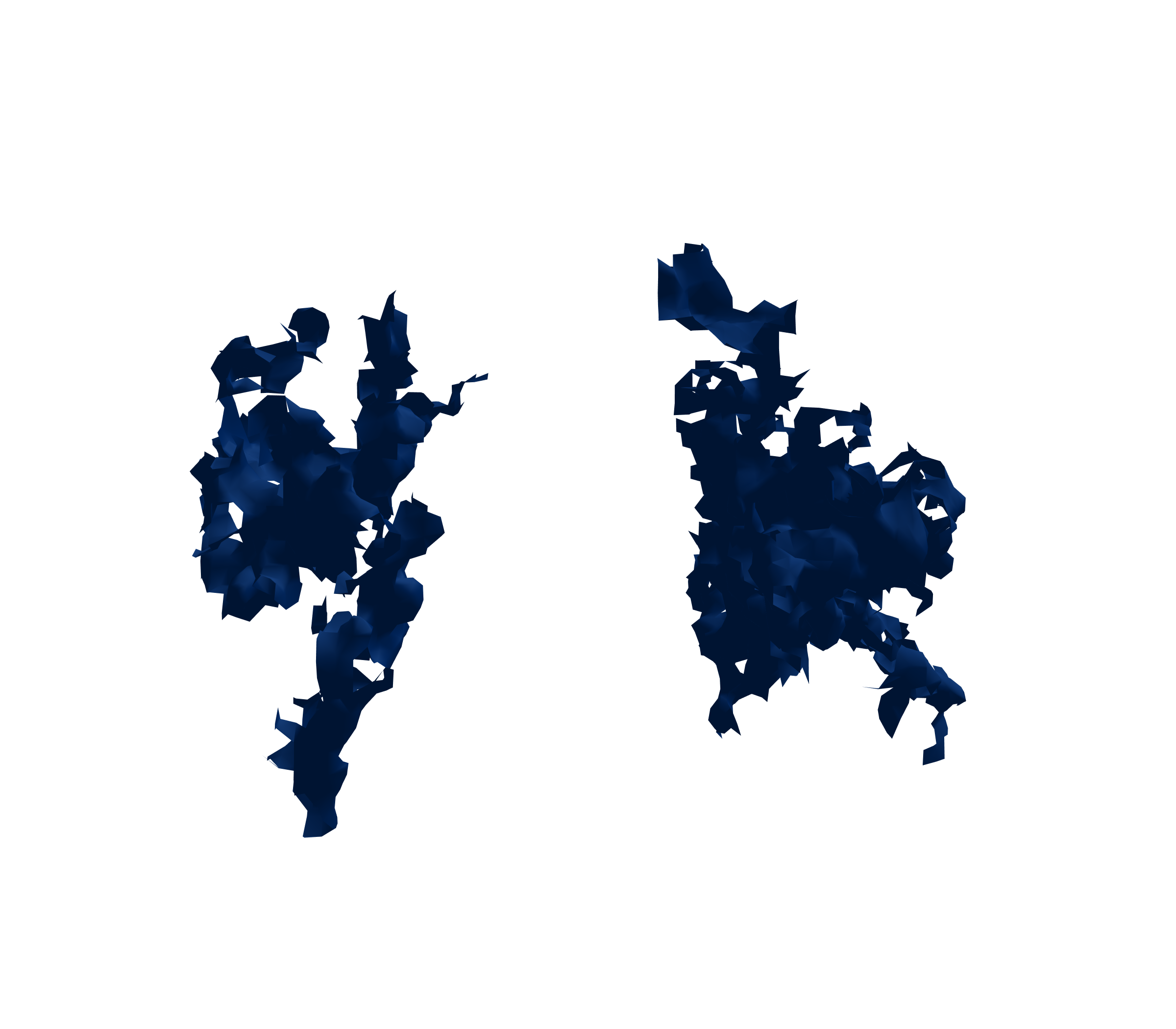 Surface Mesh (Inspiration) - Front View