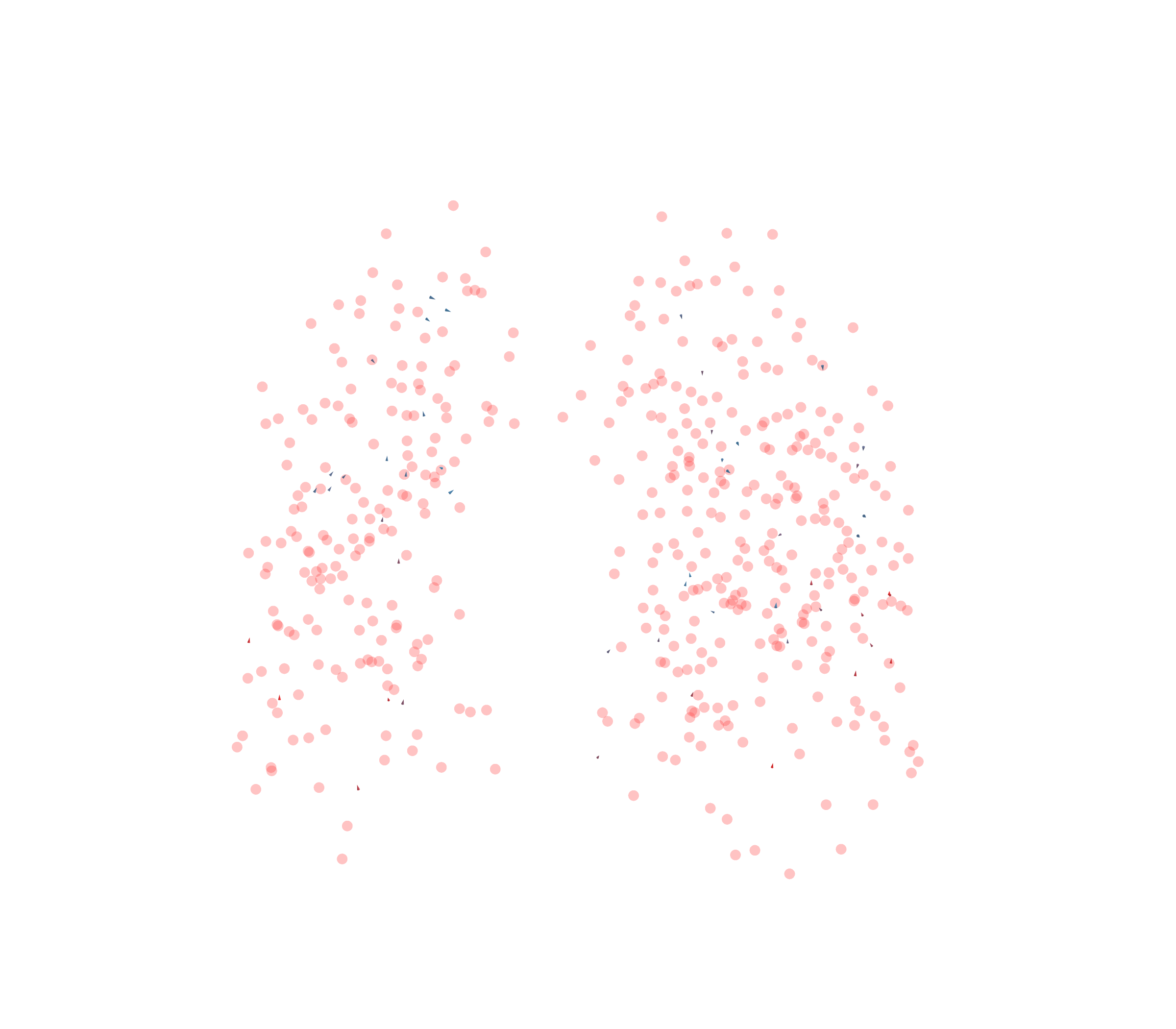 Displacement Vectors - Front View