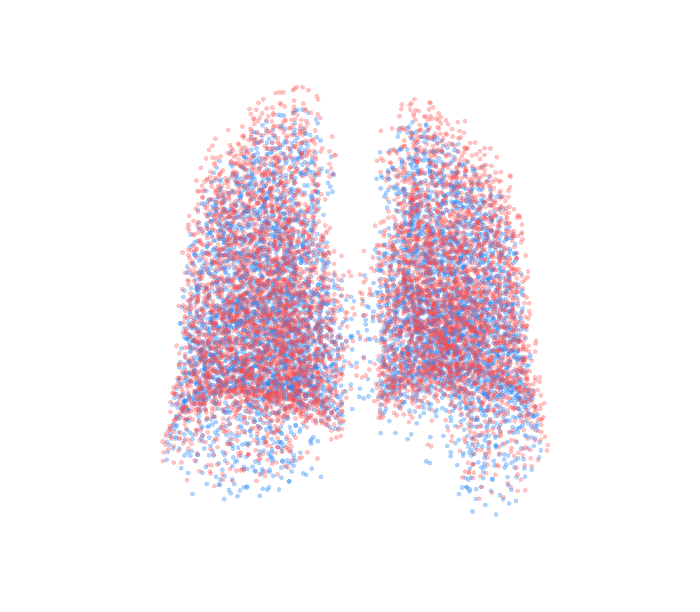 Point Cloud - Back View