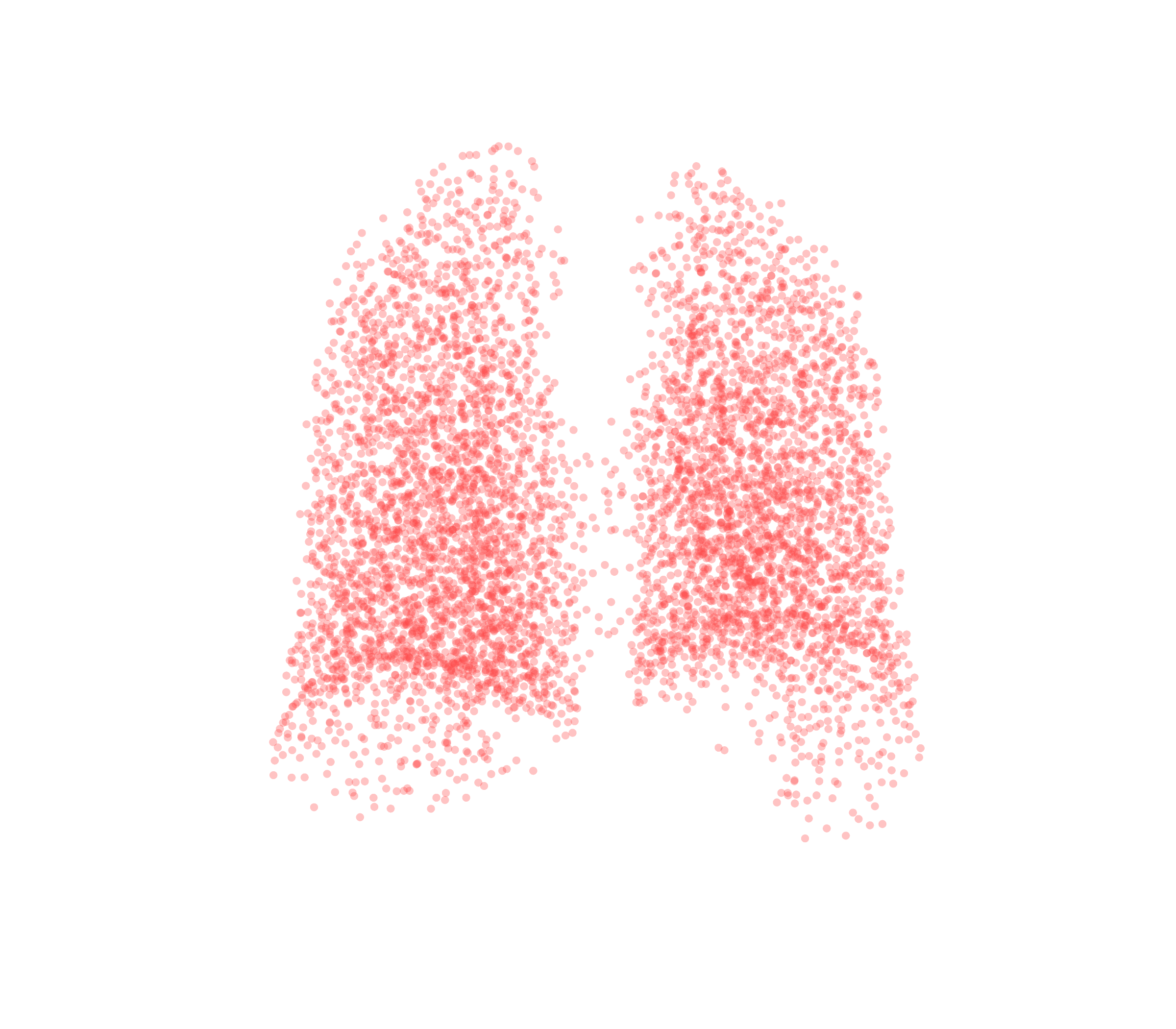 Point Cloud (Expiration) - Back View