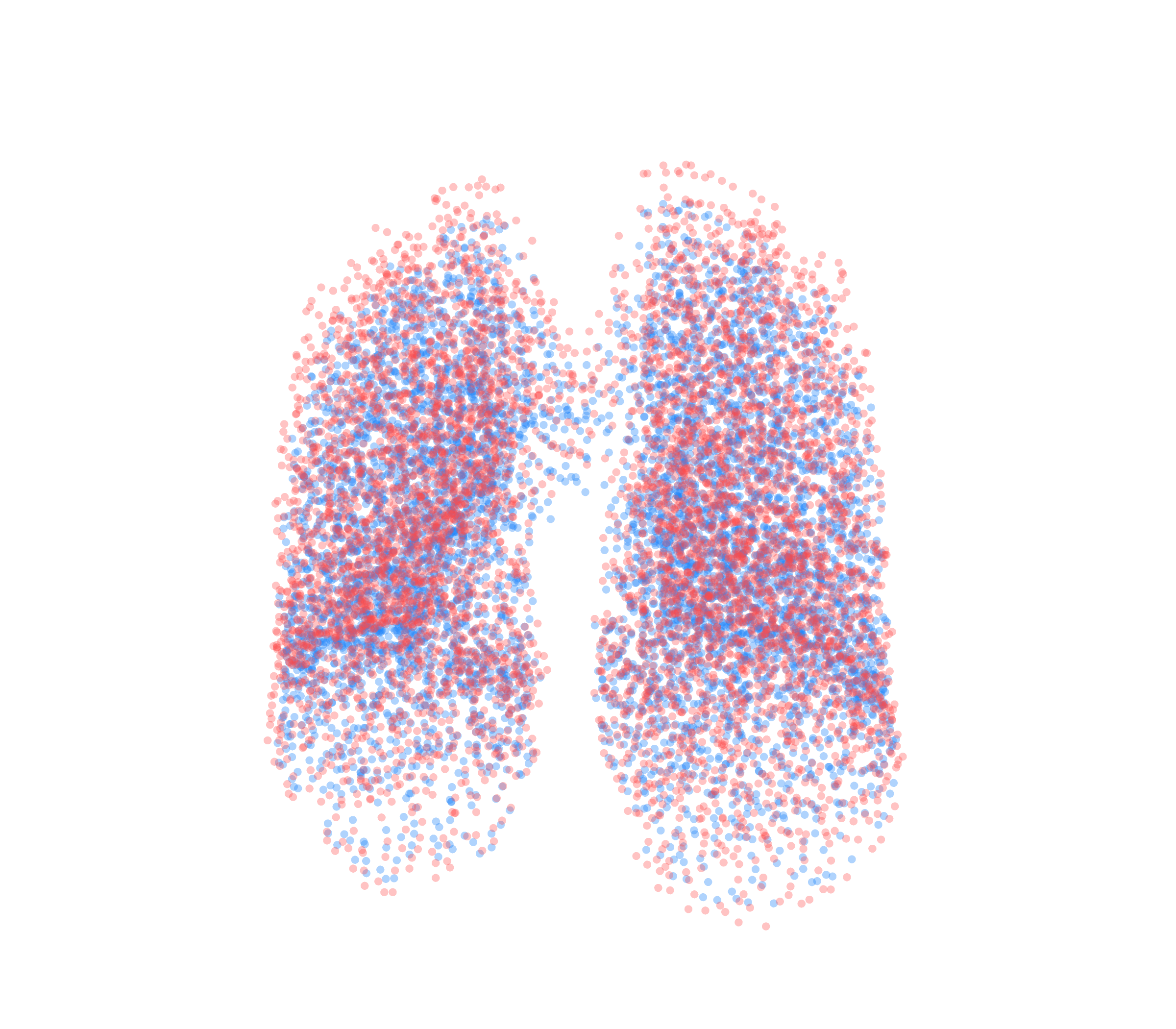 Point Cloud - Front View