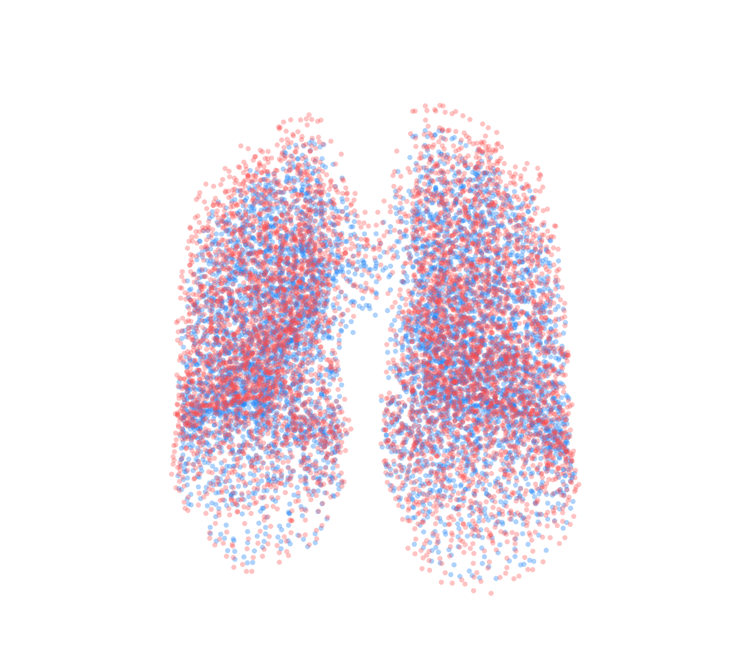 Point Cloud - Front View