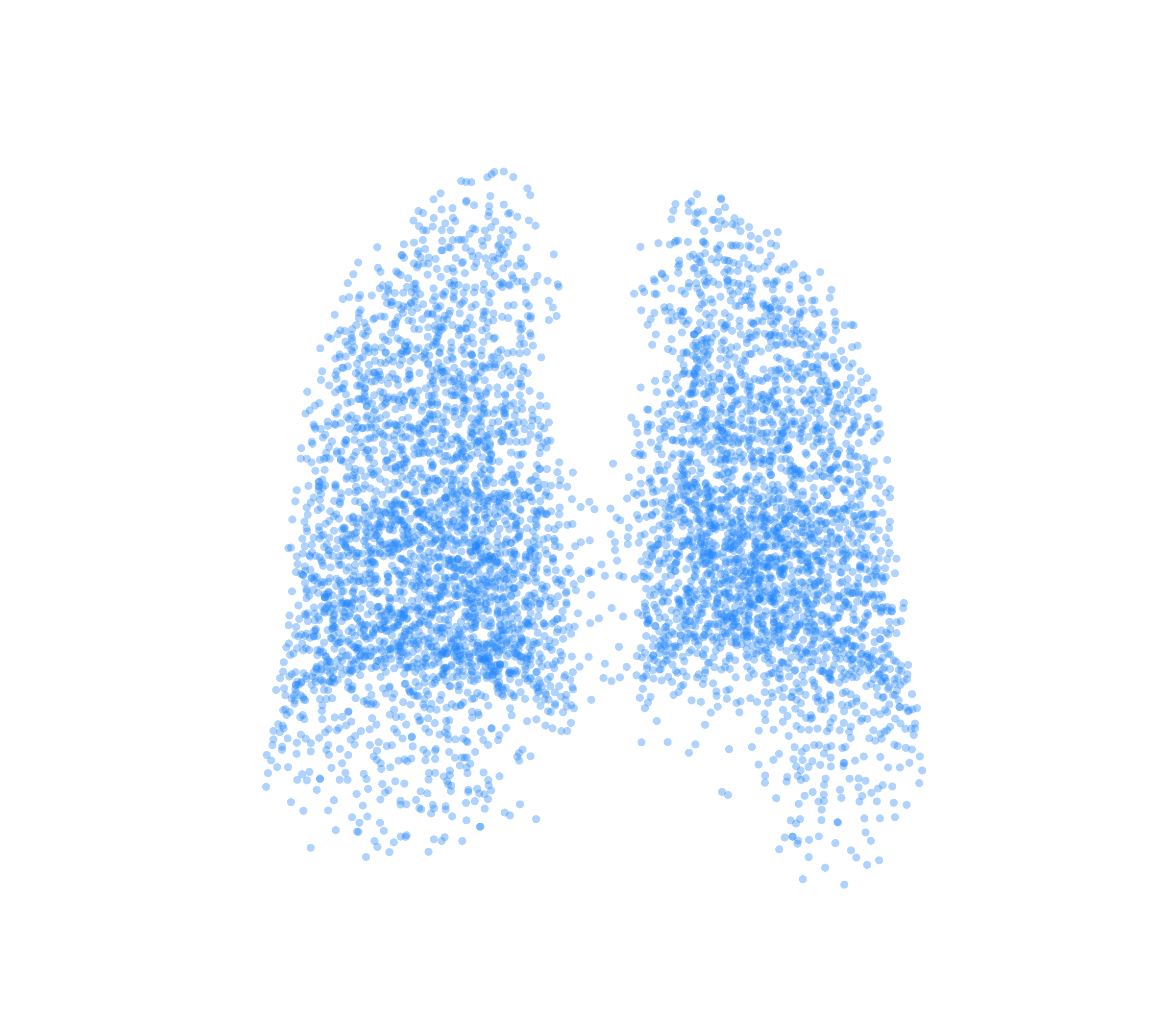 Point Cloud (Inspiration) - Back View