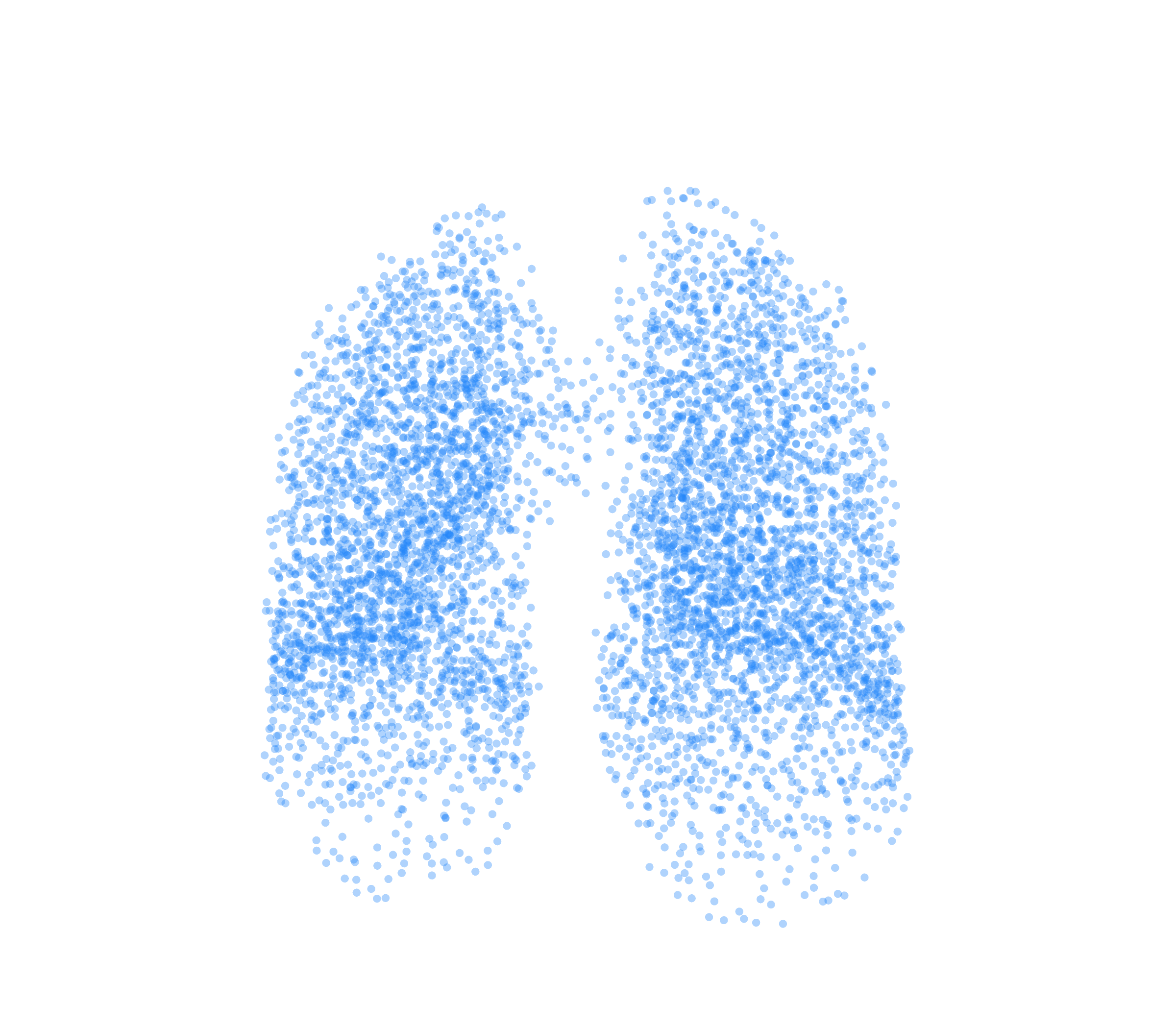 Point Cloud (Inspiration) - Front View