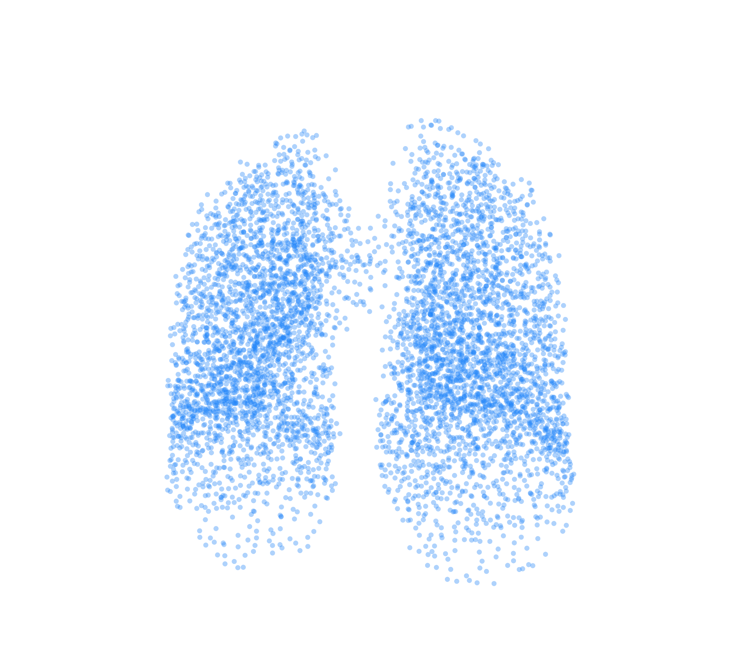 Point Cloud (Inspiration) - Front View