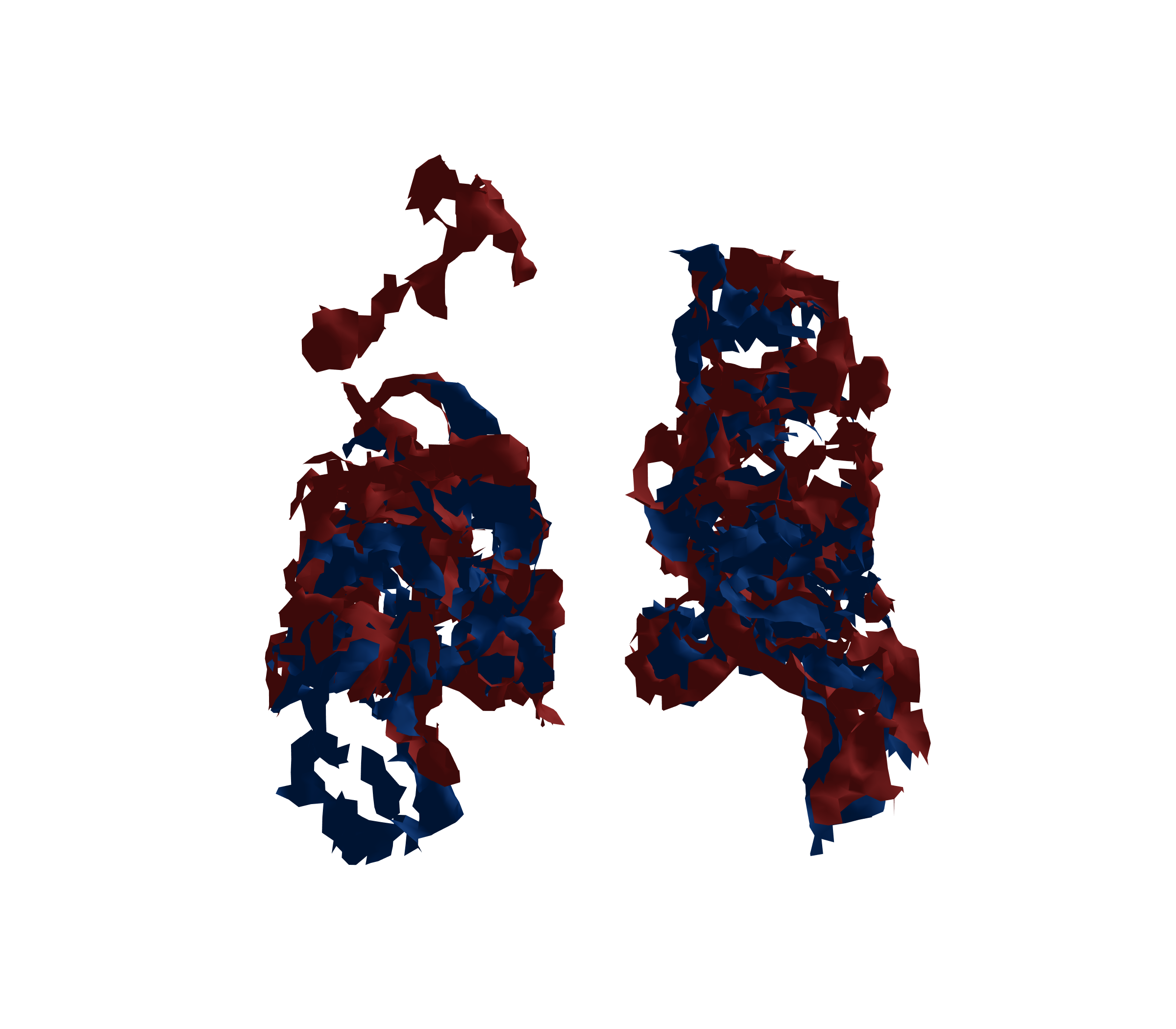 Surface Mesh - Back View