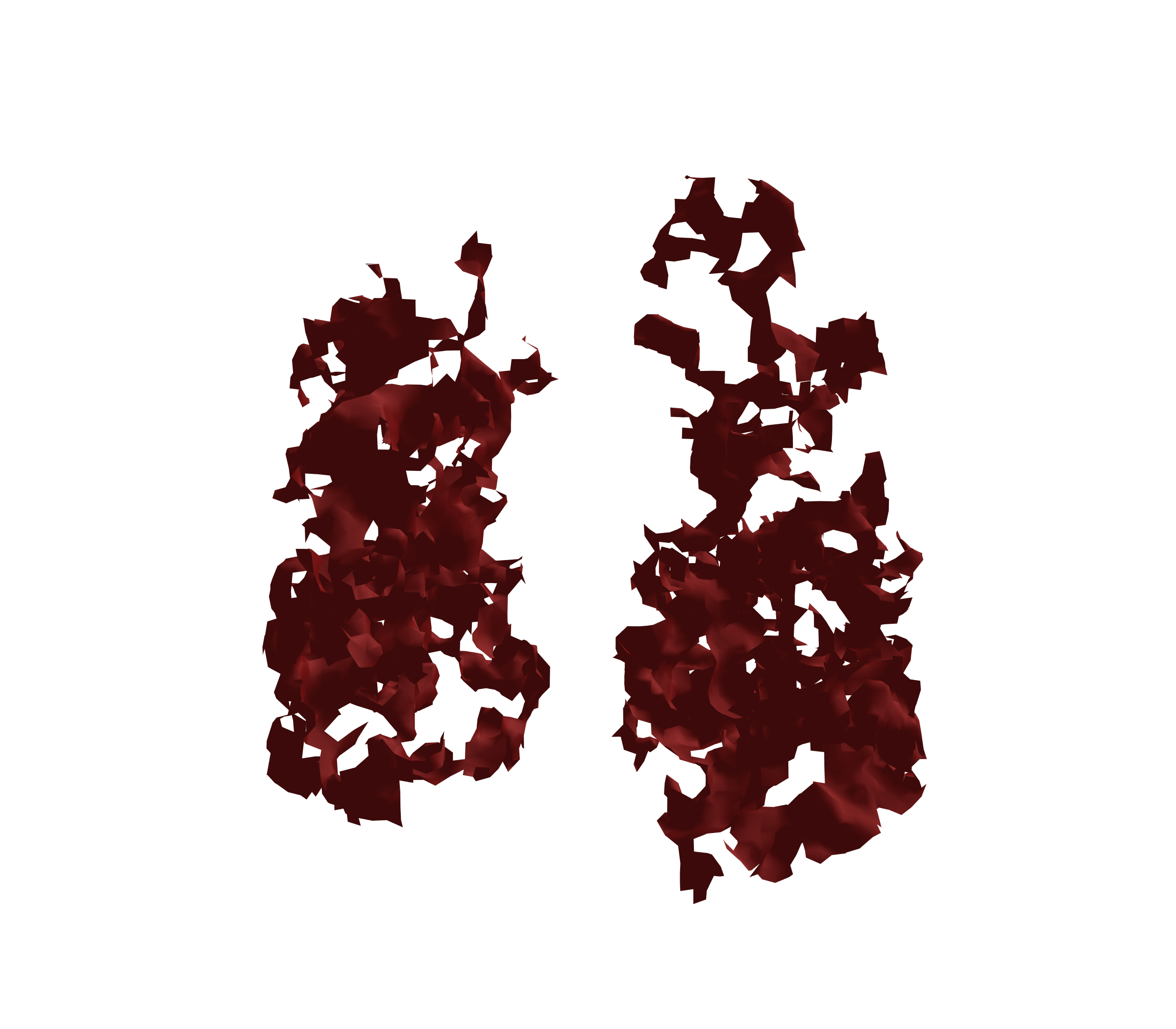 Surface Mesh (Expiration) - Front View