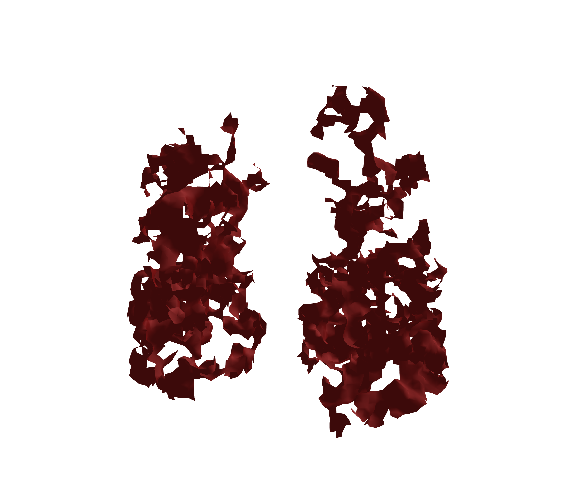 Surface Mesh (Expiration) - Front View