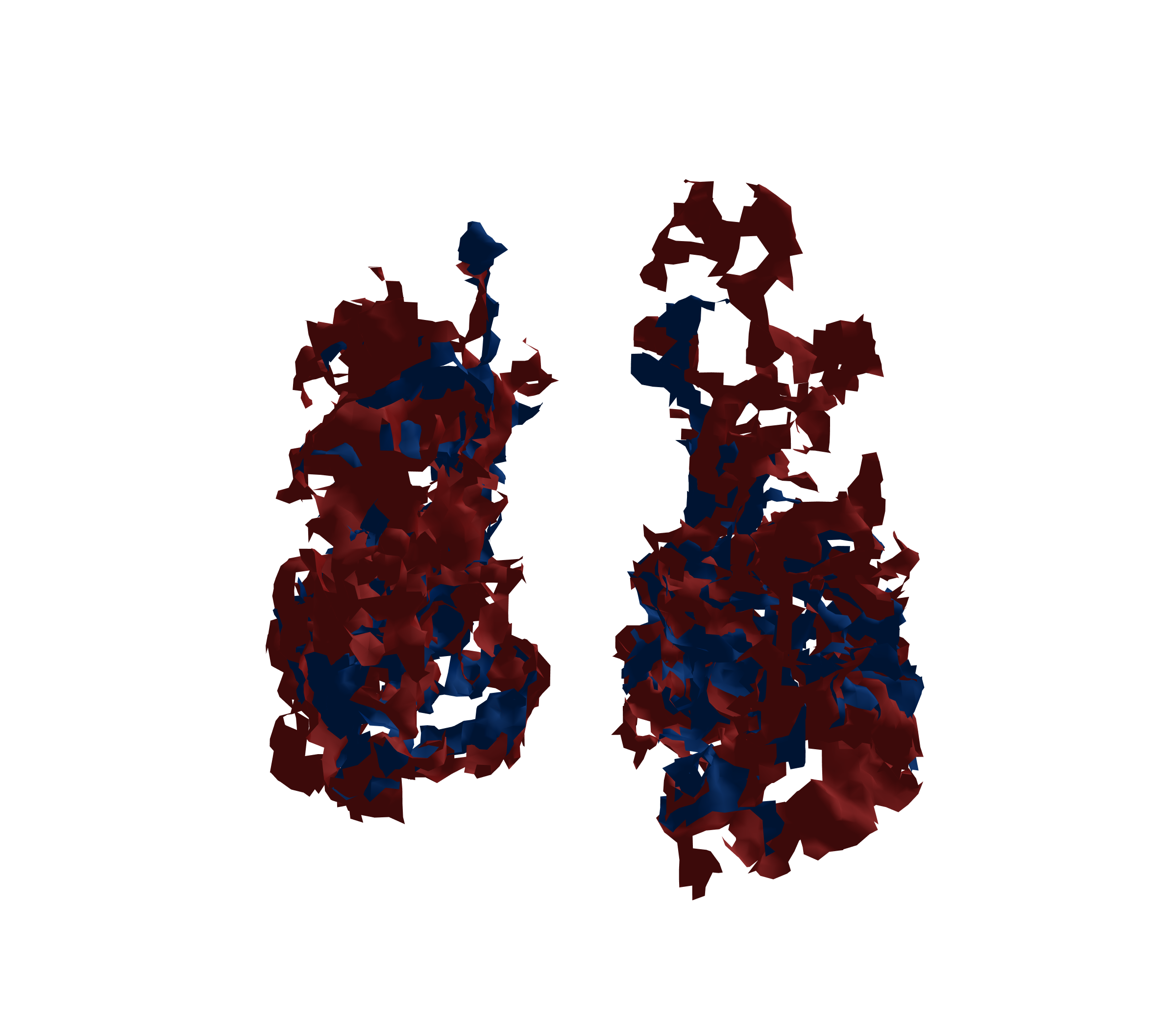 Surface Mesh - Front View