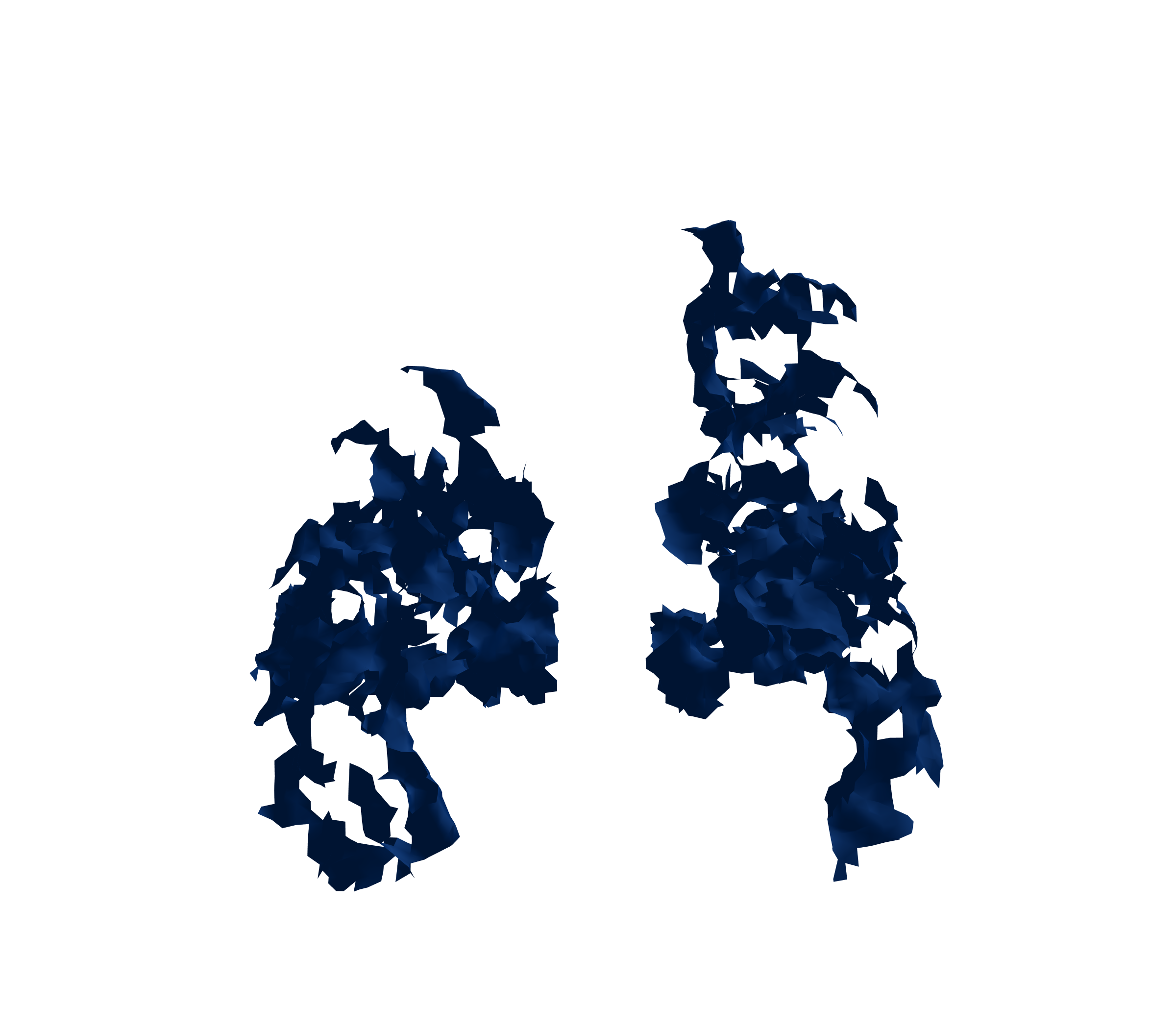 Surface Mesh (Inspiration) - Back View