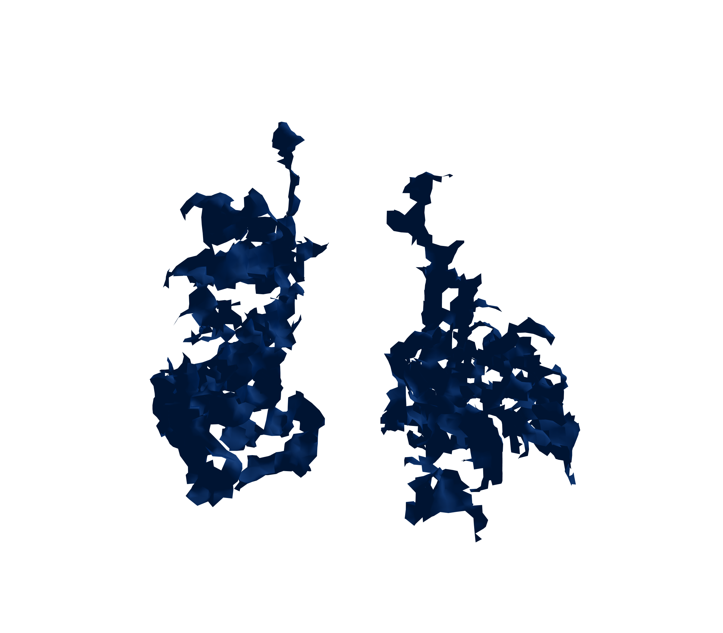 Surface Mesh (Inspiration) - Front View