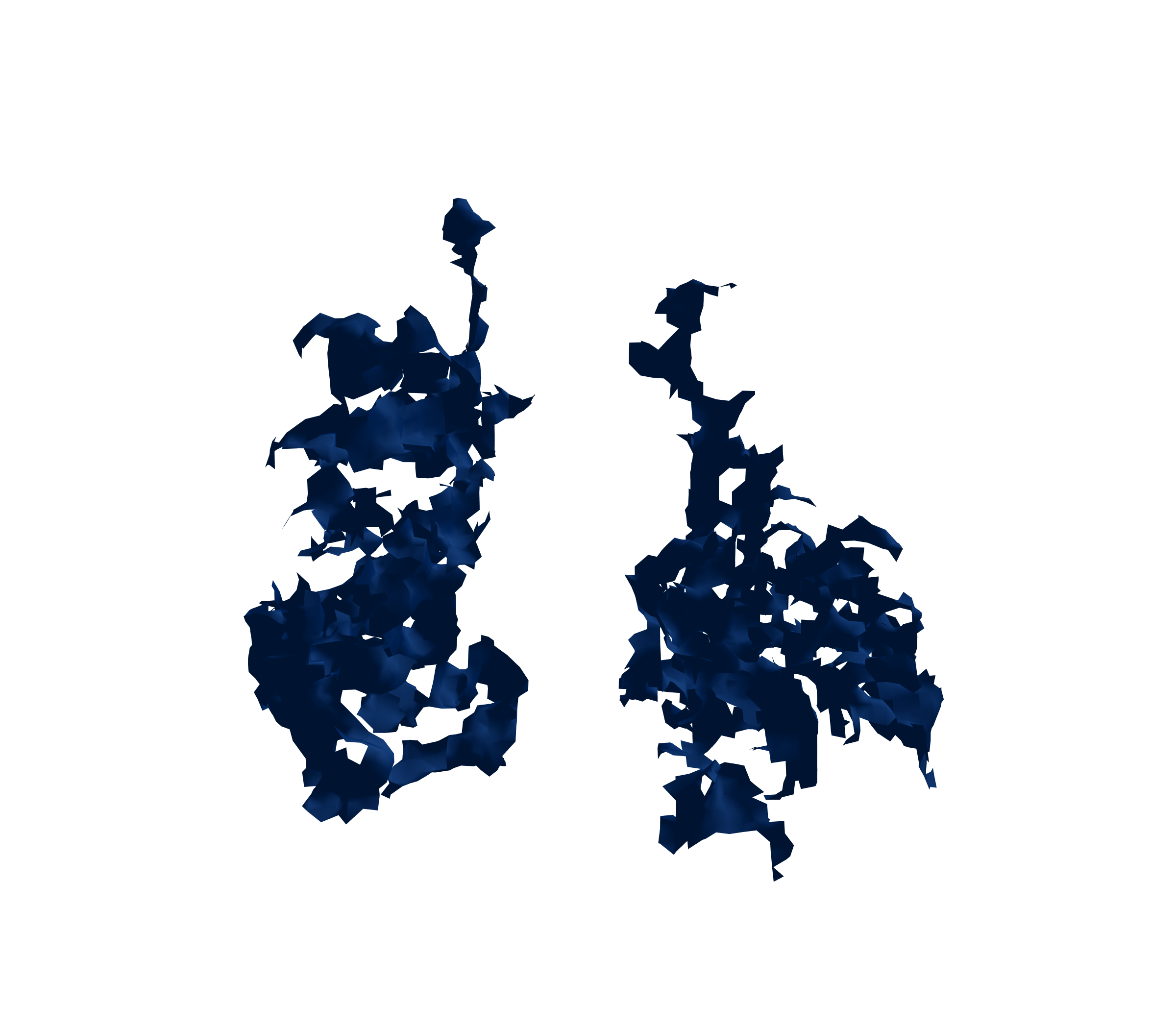 Surface Mesh (Inspiration) - Front View