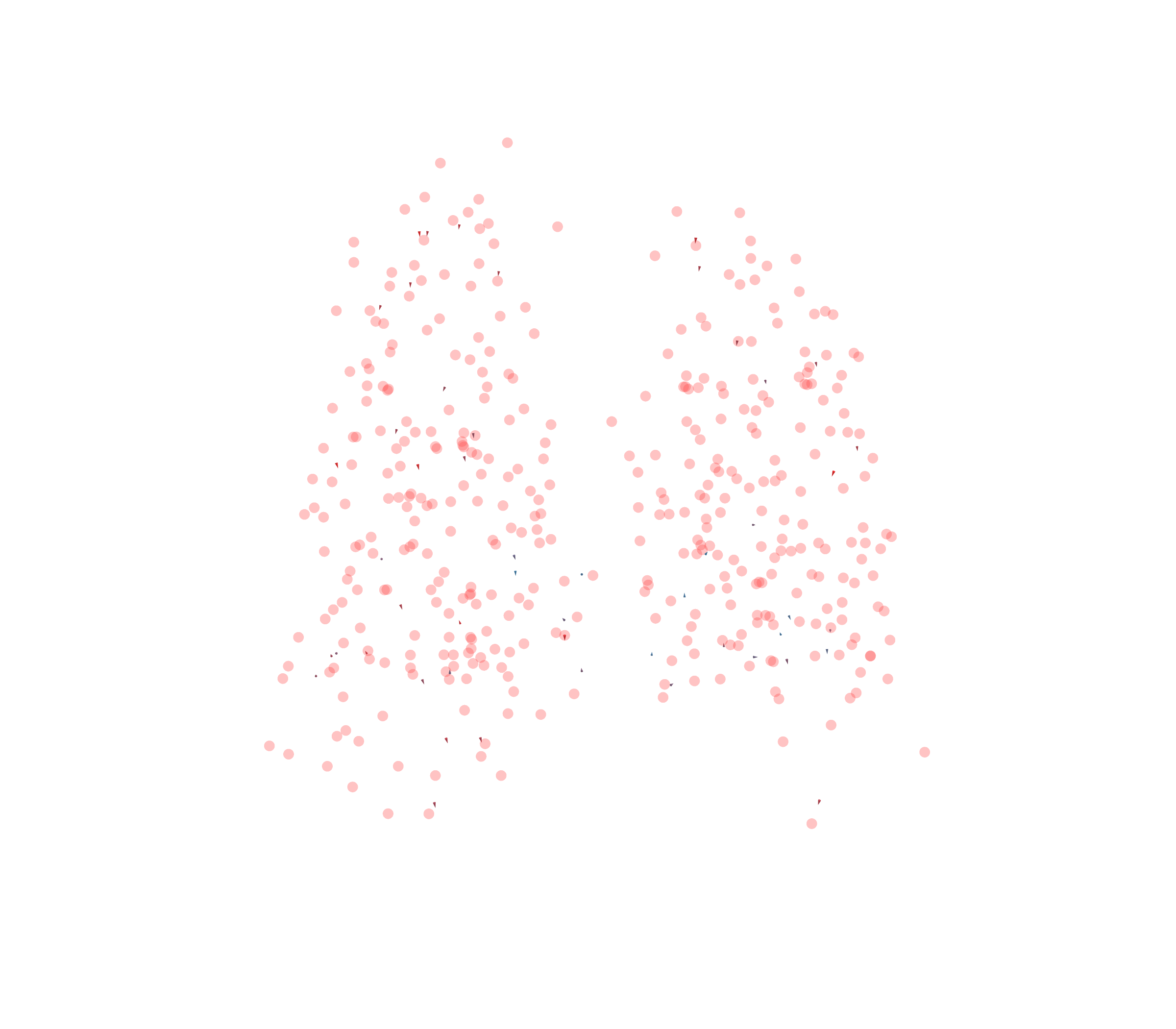Displacement Vectors - Back View