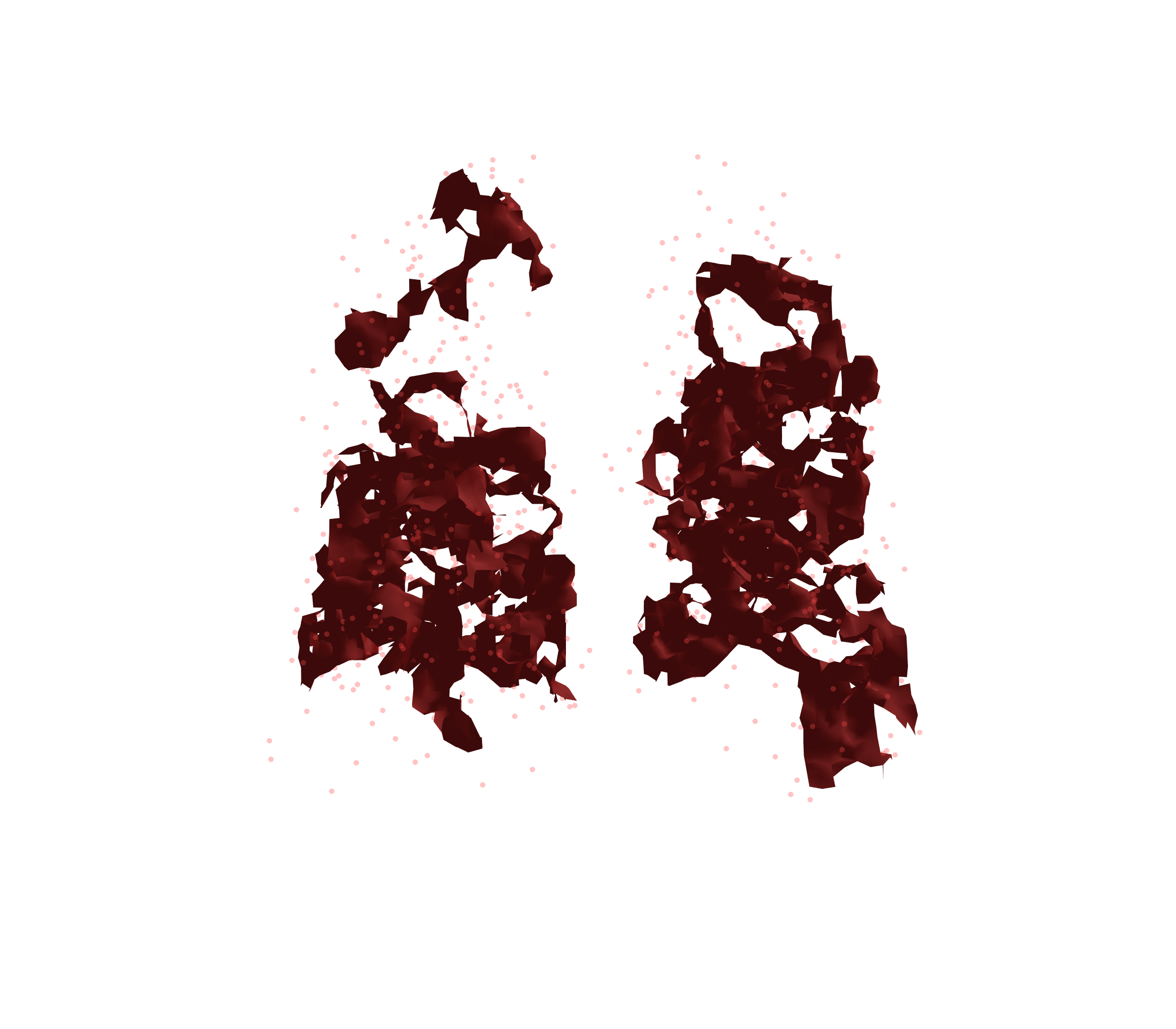 Combined Visualization (Expiration) - Back View