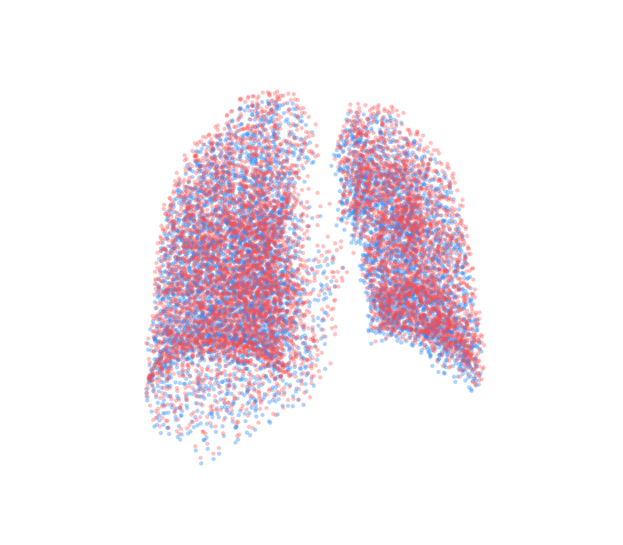 Point Cloud - Back View